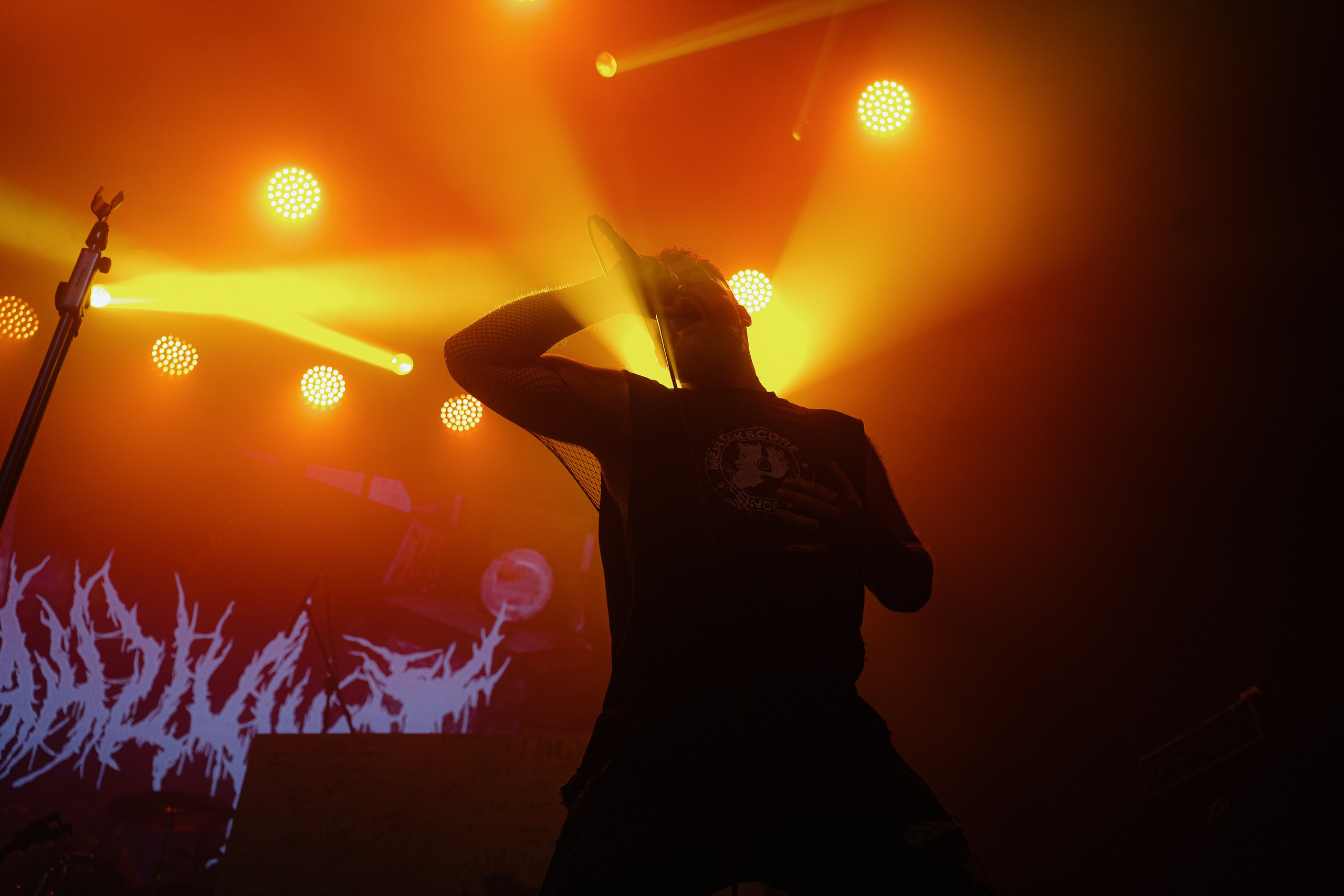 Панцушот. Рассвет. 04.10.2025. Главная