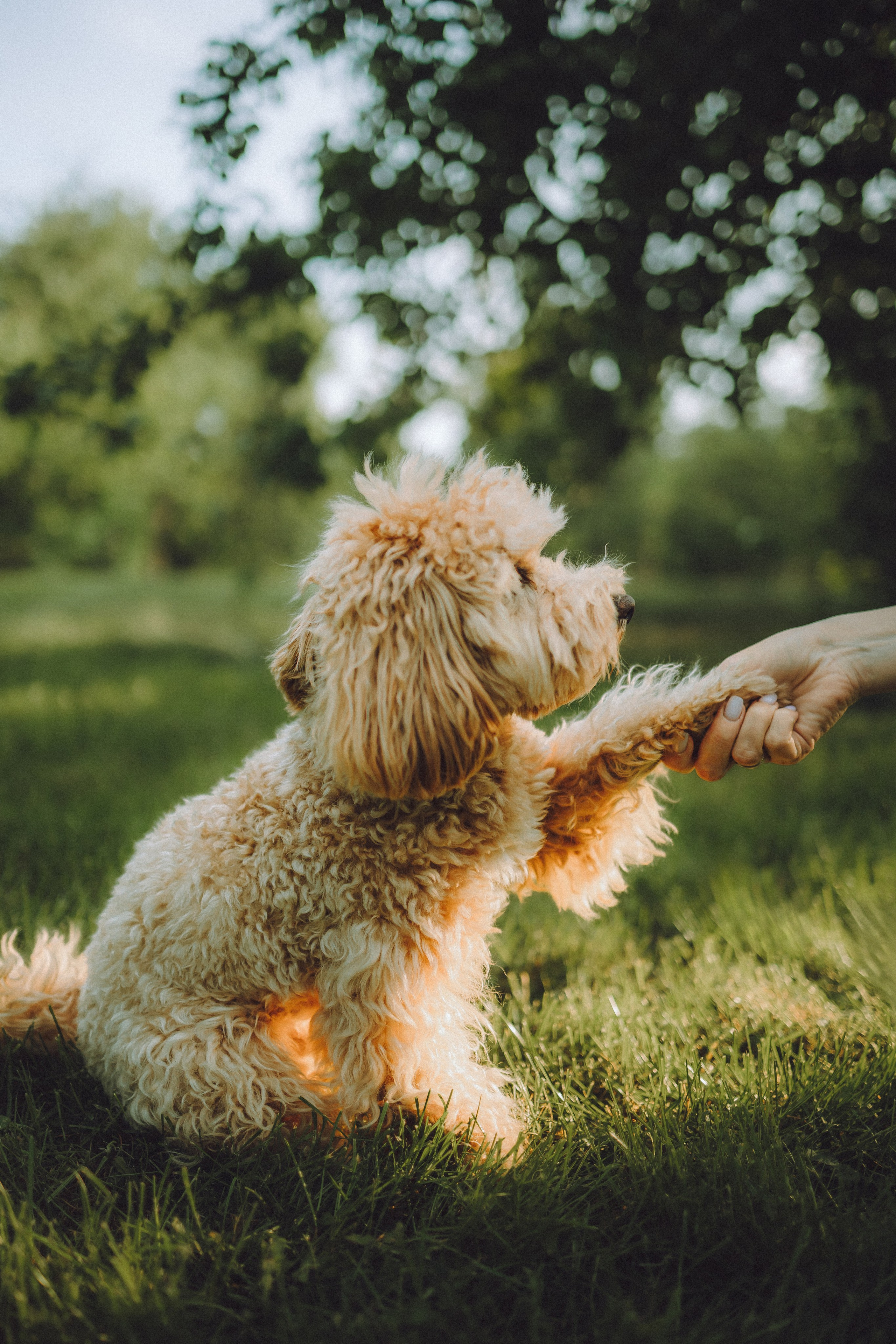 Фред и его семья