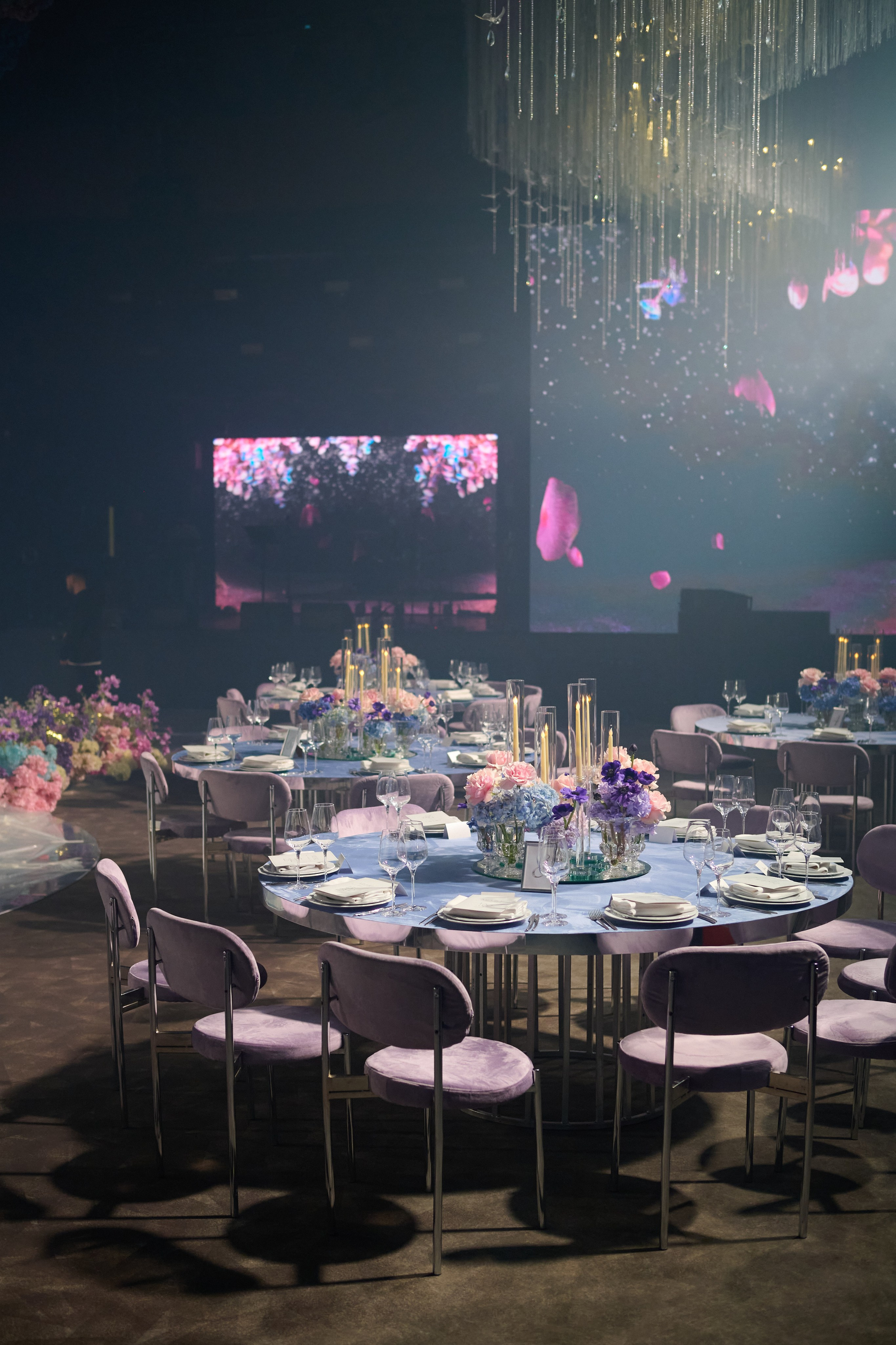 Колибри. Репортажный фотограф в Москве и Санкт-Петербурге — Профессиональная съёмка мероприятий | Данила Золкин