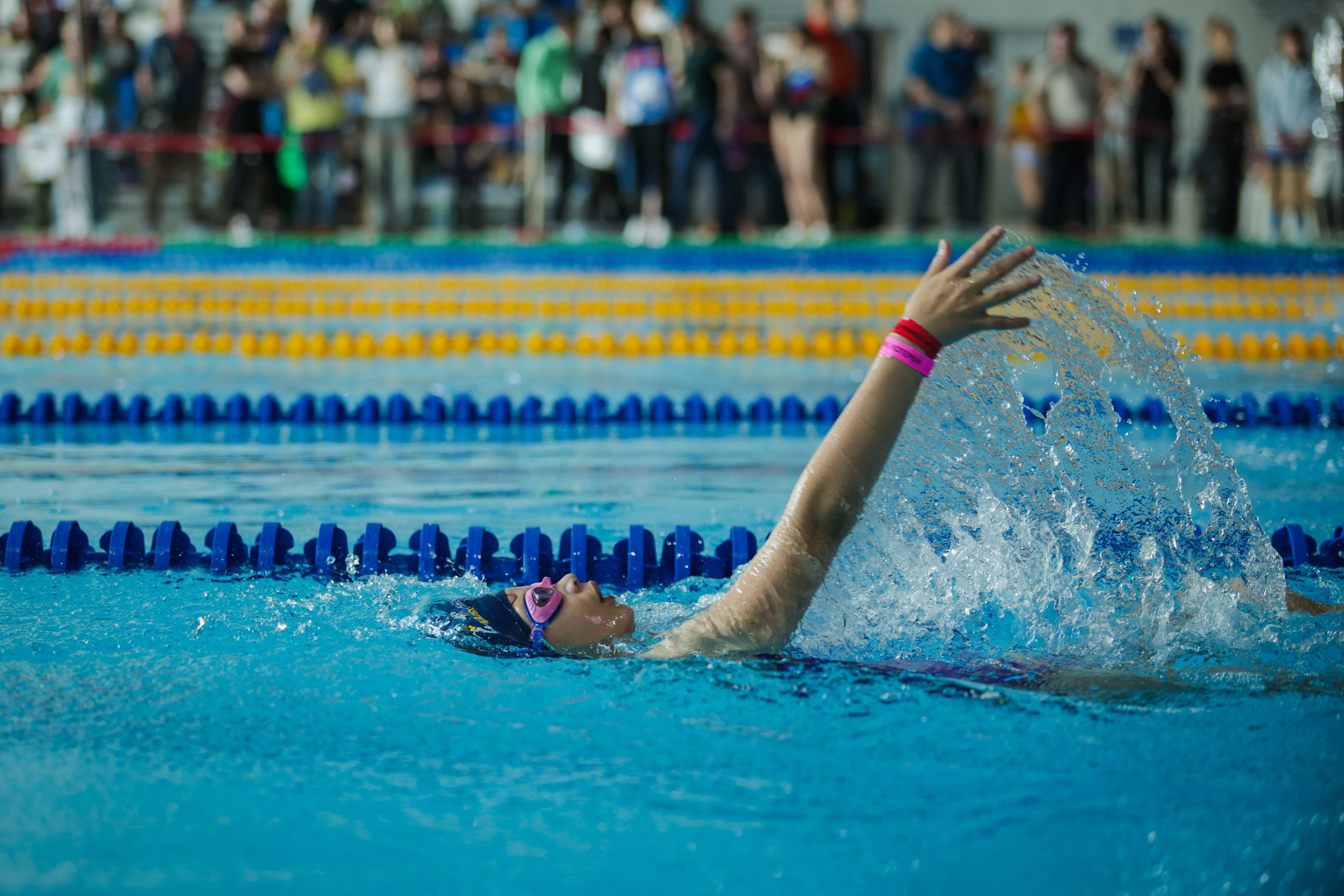 Соревнования по плаванию «Гонки ракет 2026». Александра Мельниченко/ Бегающий фотограф