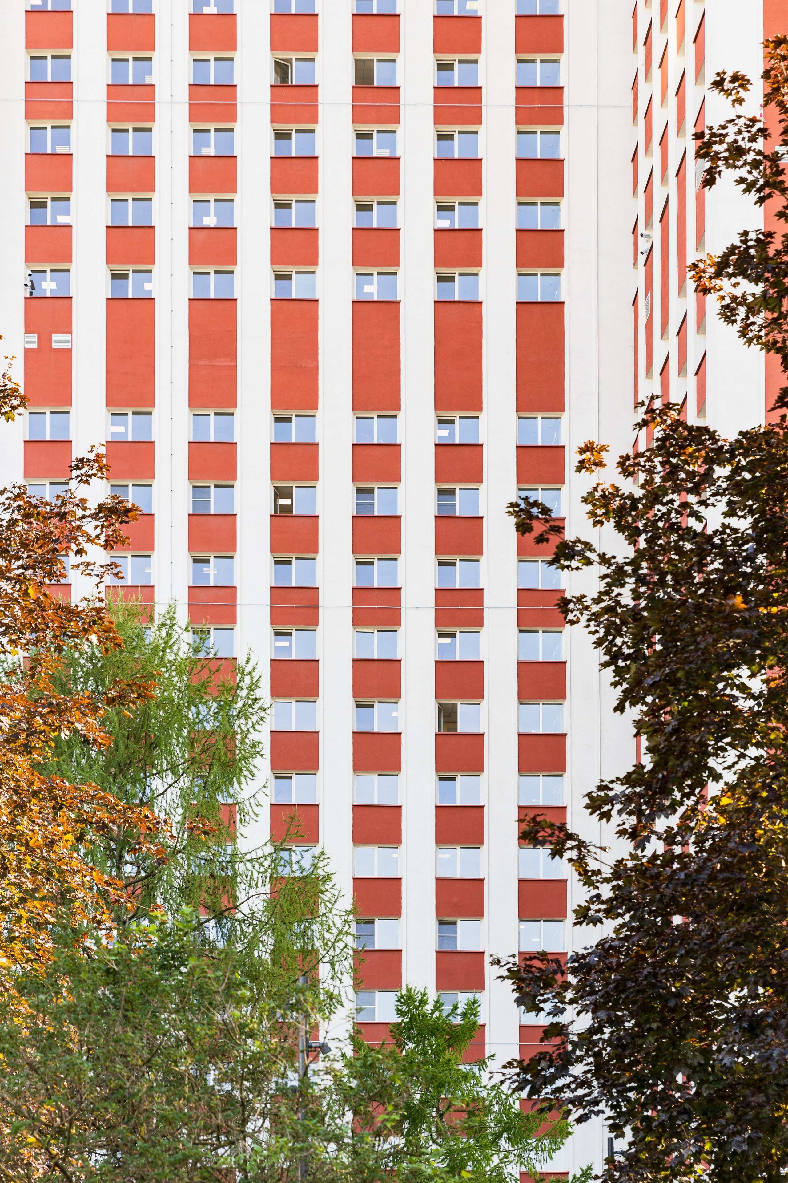 Виды Академии. Фотограф в Москве Даша Зуева