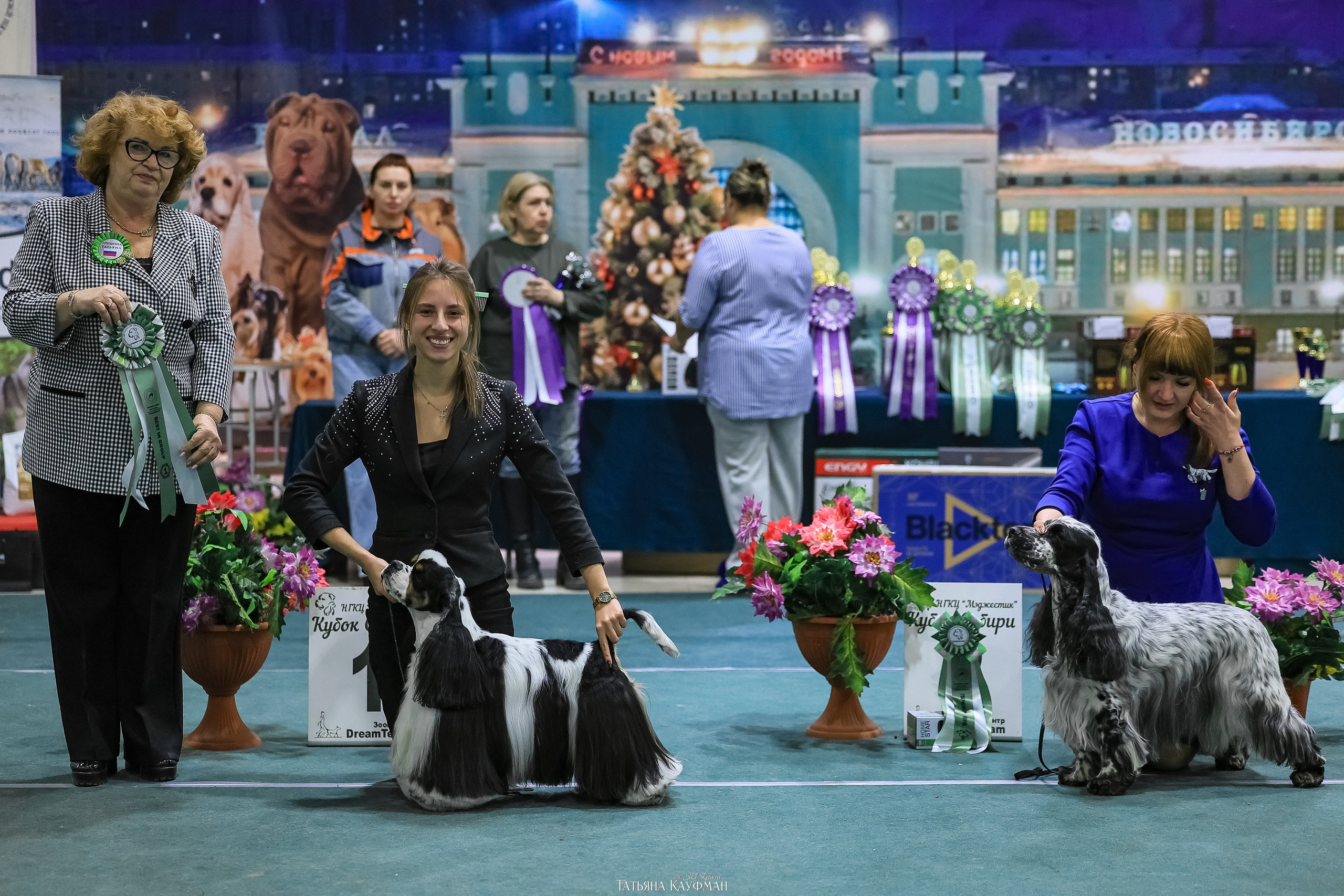 6-7.12.25 — 1-4 Национальные выставки собак в Новосибирске (2х рейтинговые). Фотограф Анималист из Новосибирска Татьяна Кауфман