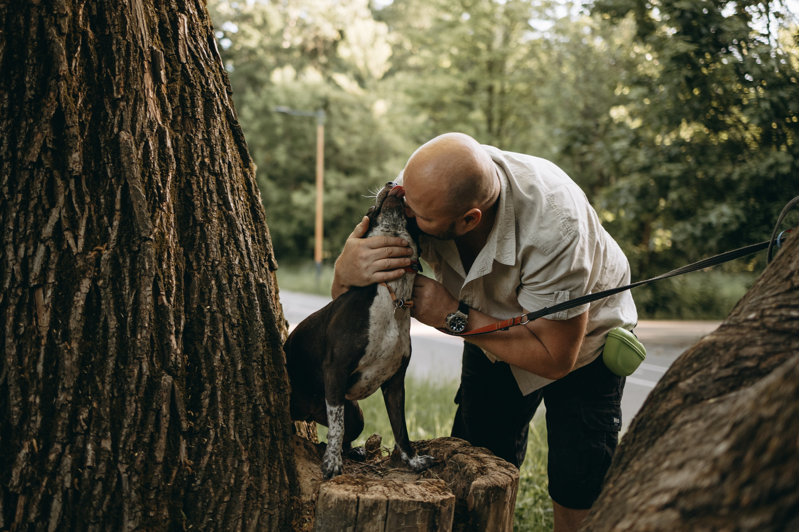 Татьяна, Сергей и их Булочка и Пончик. Фотограф — Анималист | Санкт-Петербург