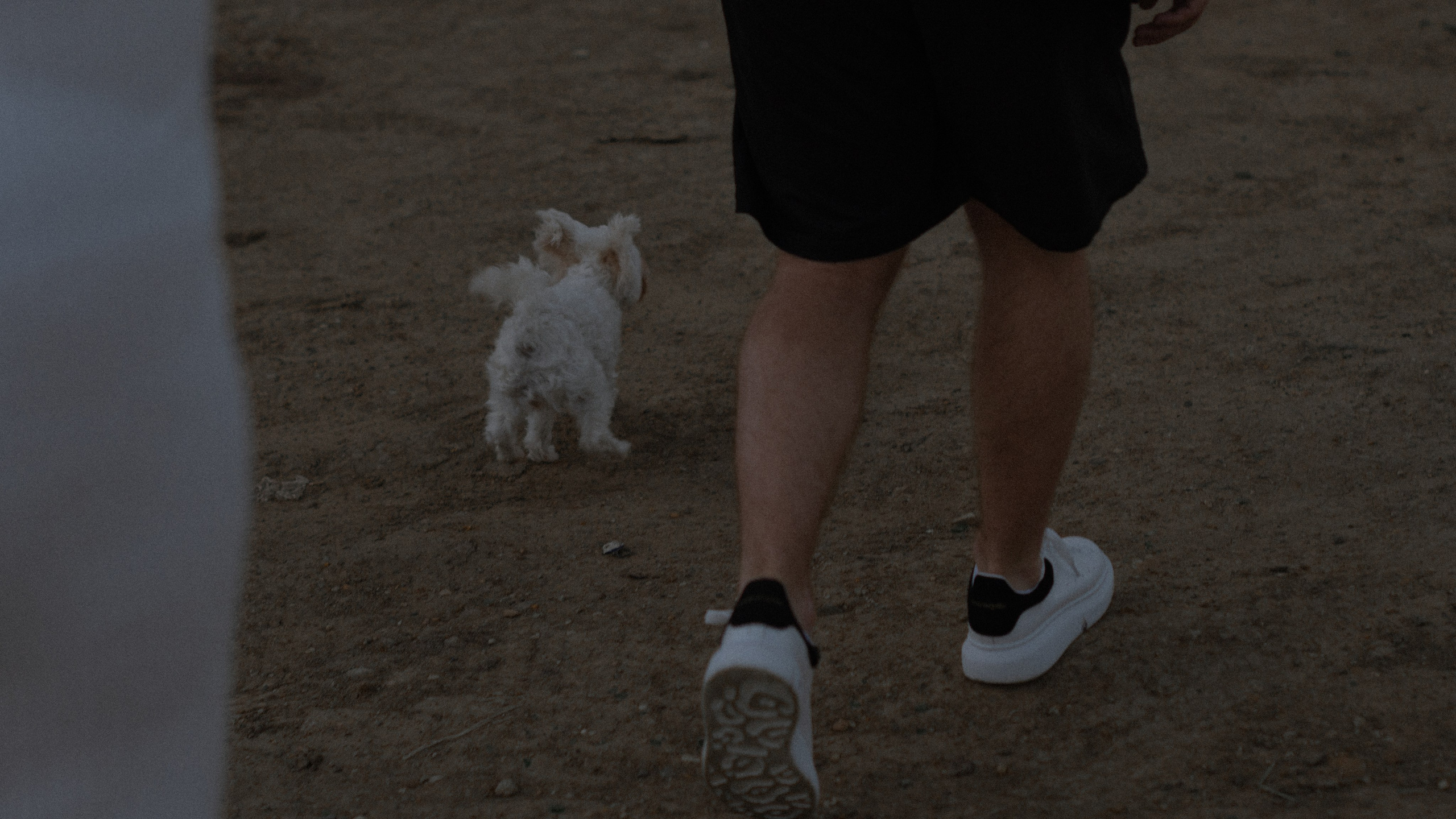 Катя и Артем. Красногорск. Фотограф в Челябинске Любовь Денисенко