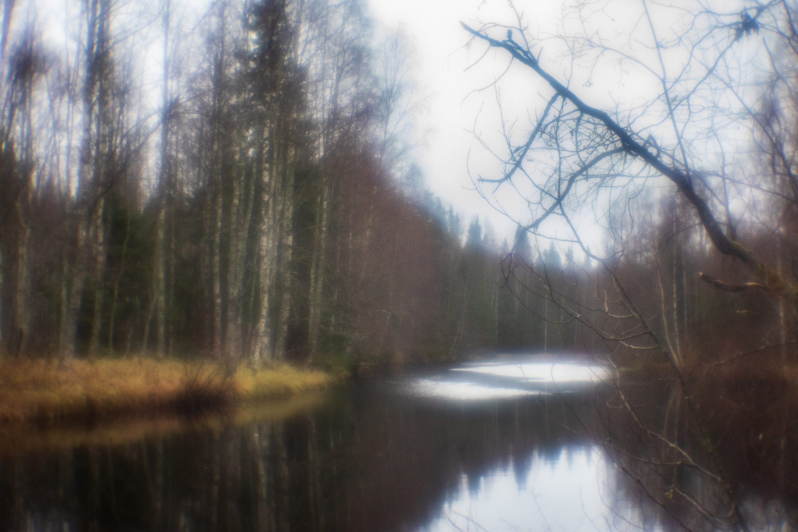Большое путешествие в Карелию на машине. Марина Захарова — Фотограф. Москва / Marina Zakharova — Photographer