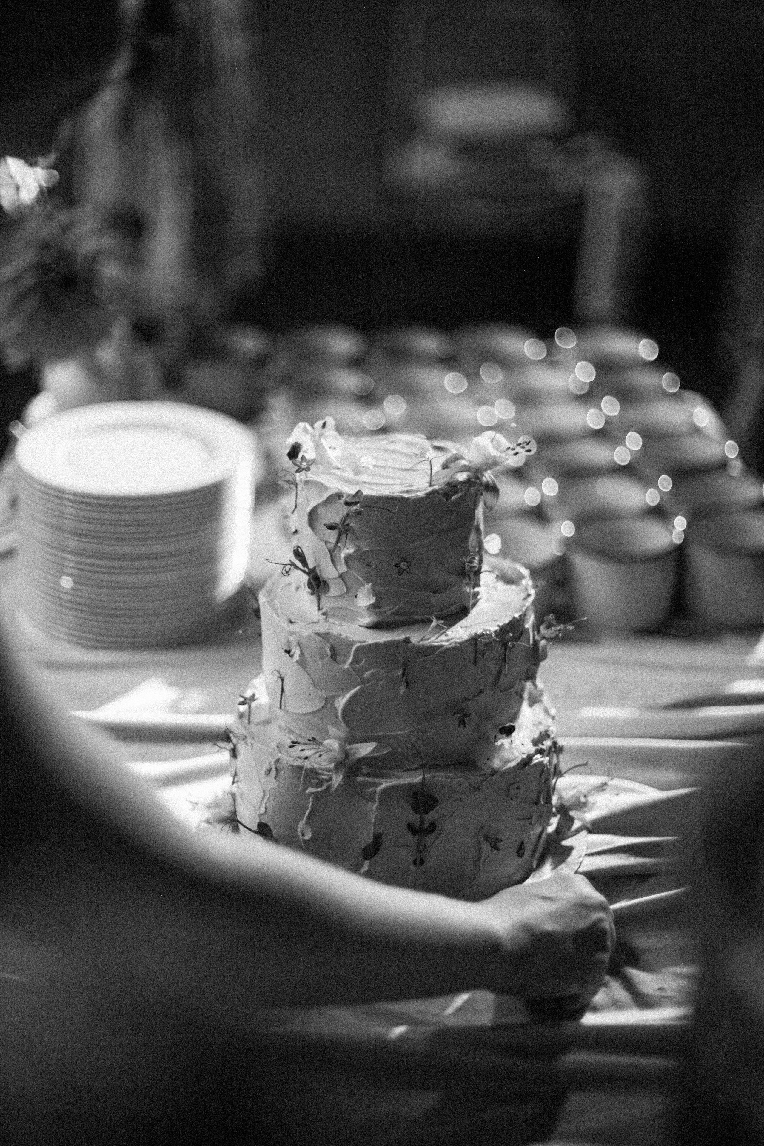 Аня и Кирилл (полный день с росписью). Фотограф Екатерина Максимова: семейные, индивидуальные съемки, свадьбы