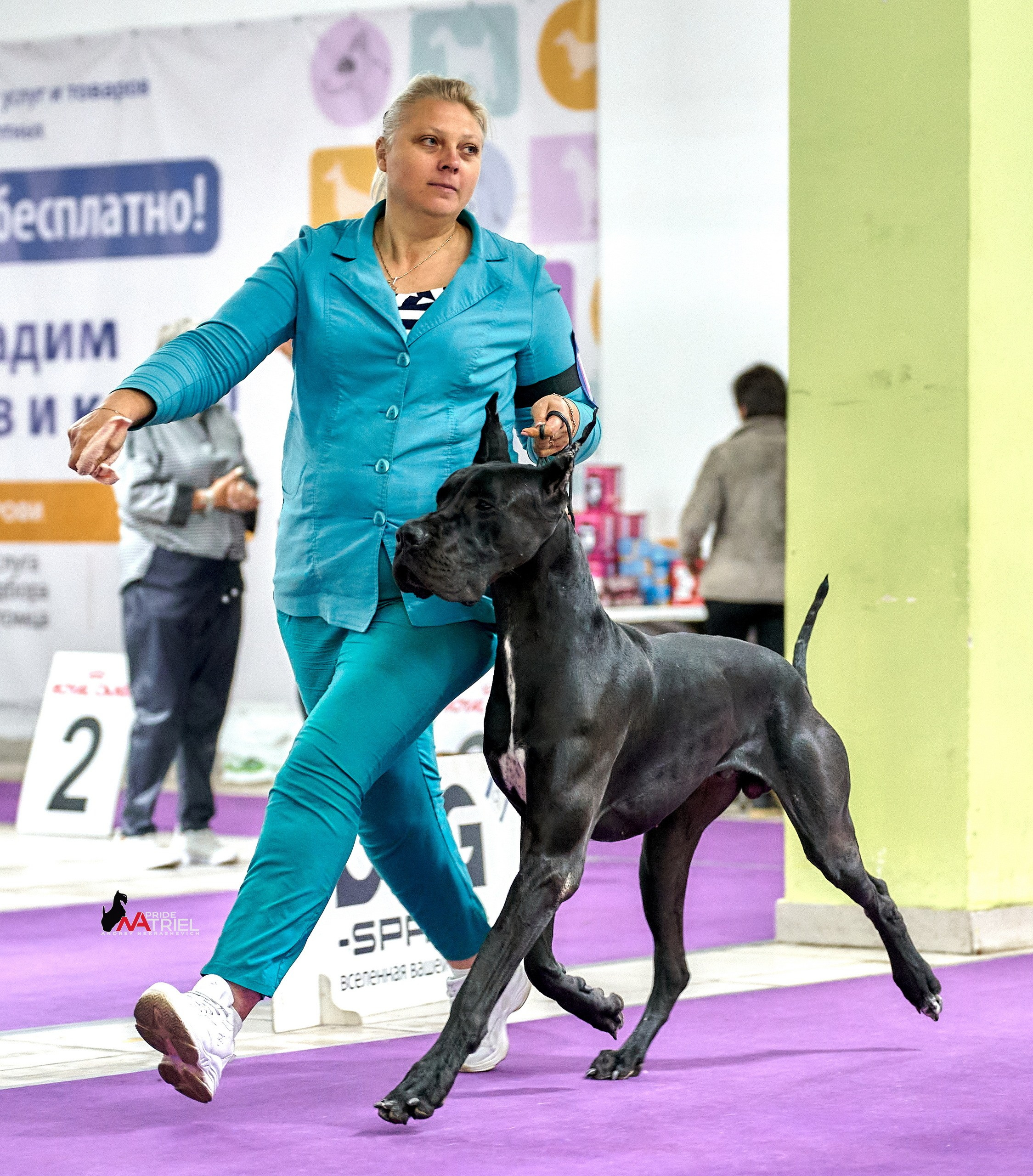 Работа в рингах — галерея NATRIEL