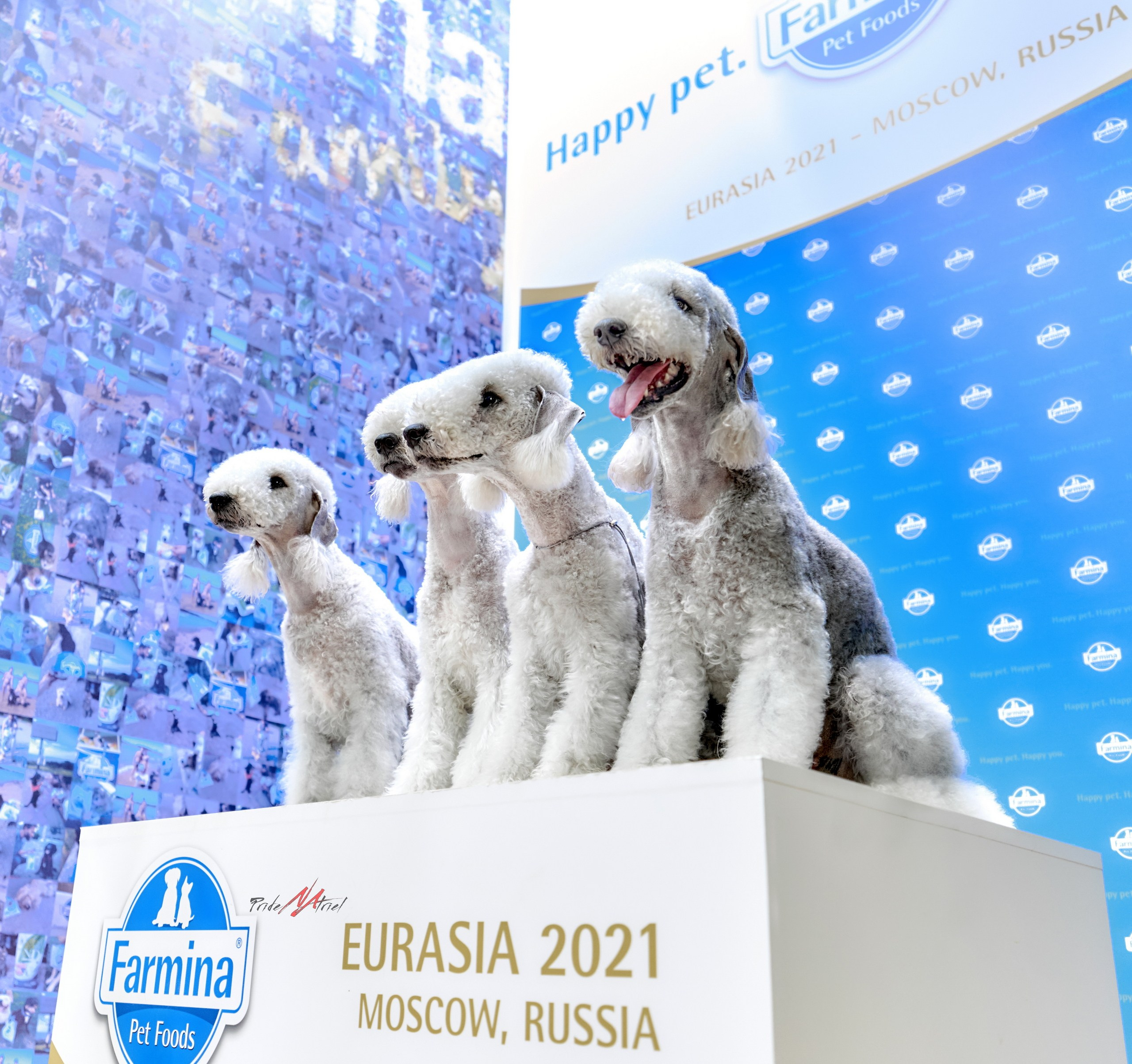 Призовые места — галерея NATRIEL