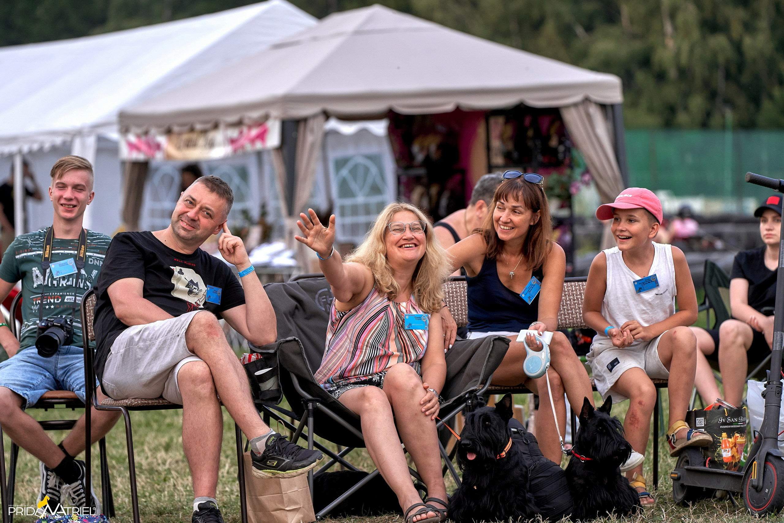 Мероприятия с собаками — галерея NATRIEL