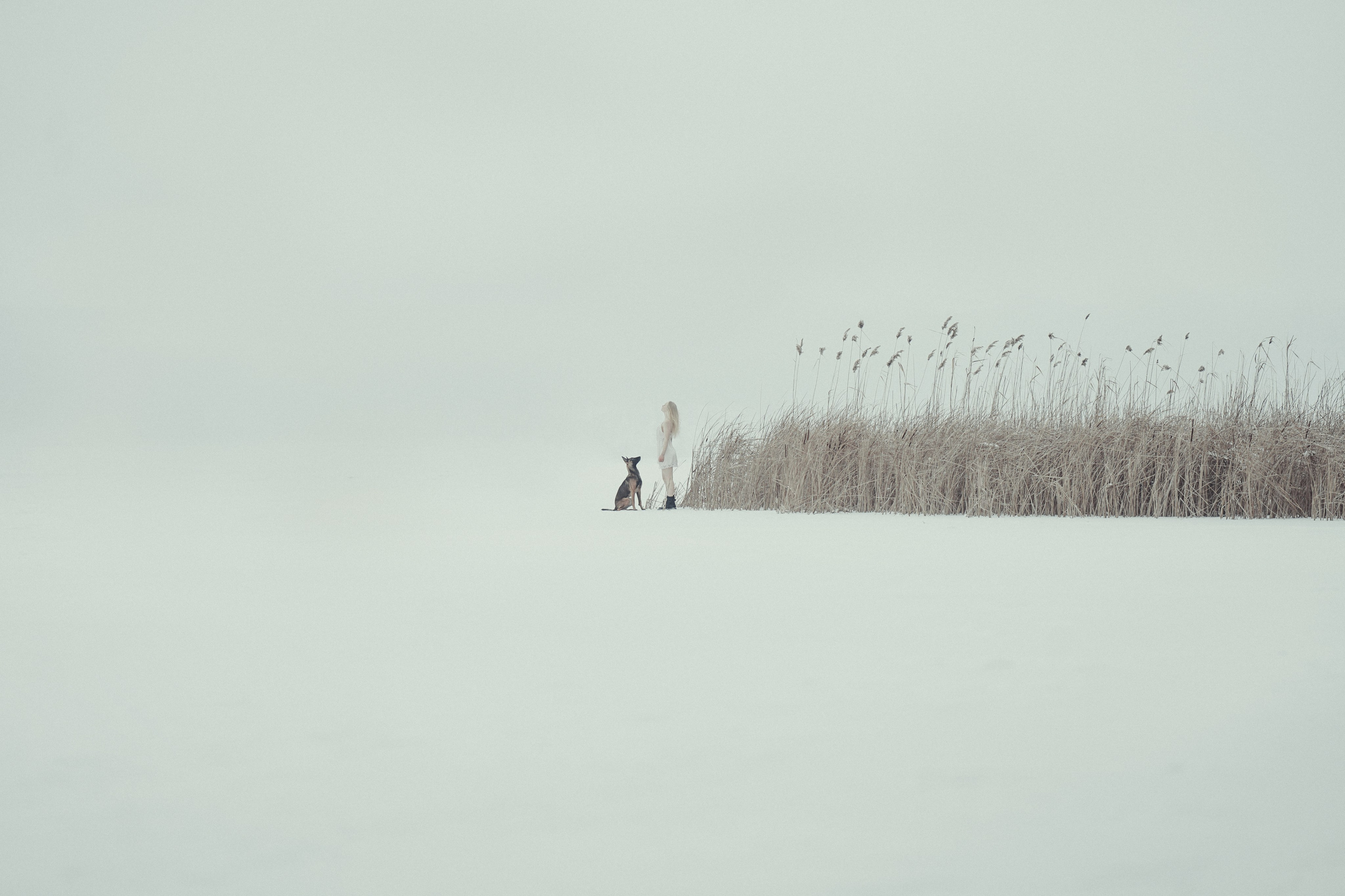 Совместная фотосъемка. Главная