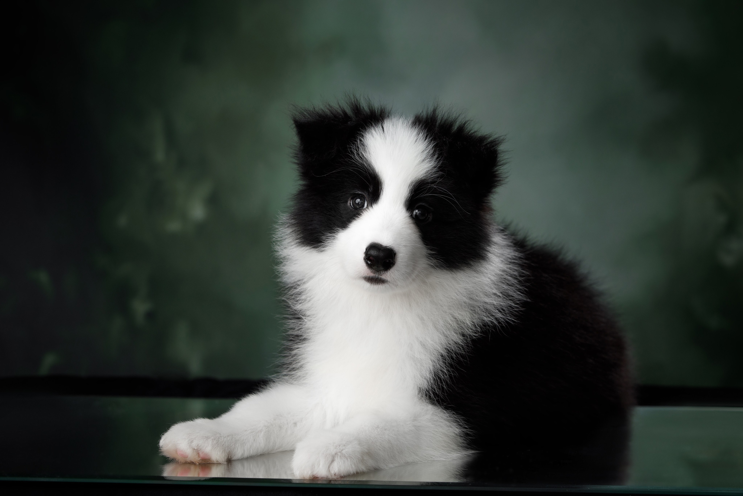 Март. Весна. 22. О нас