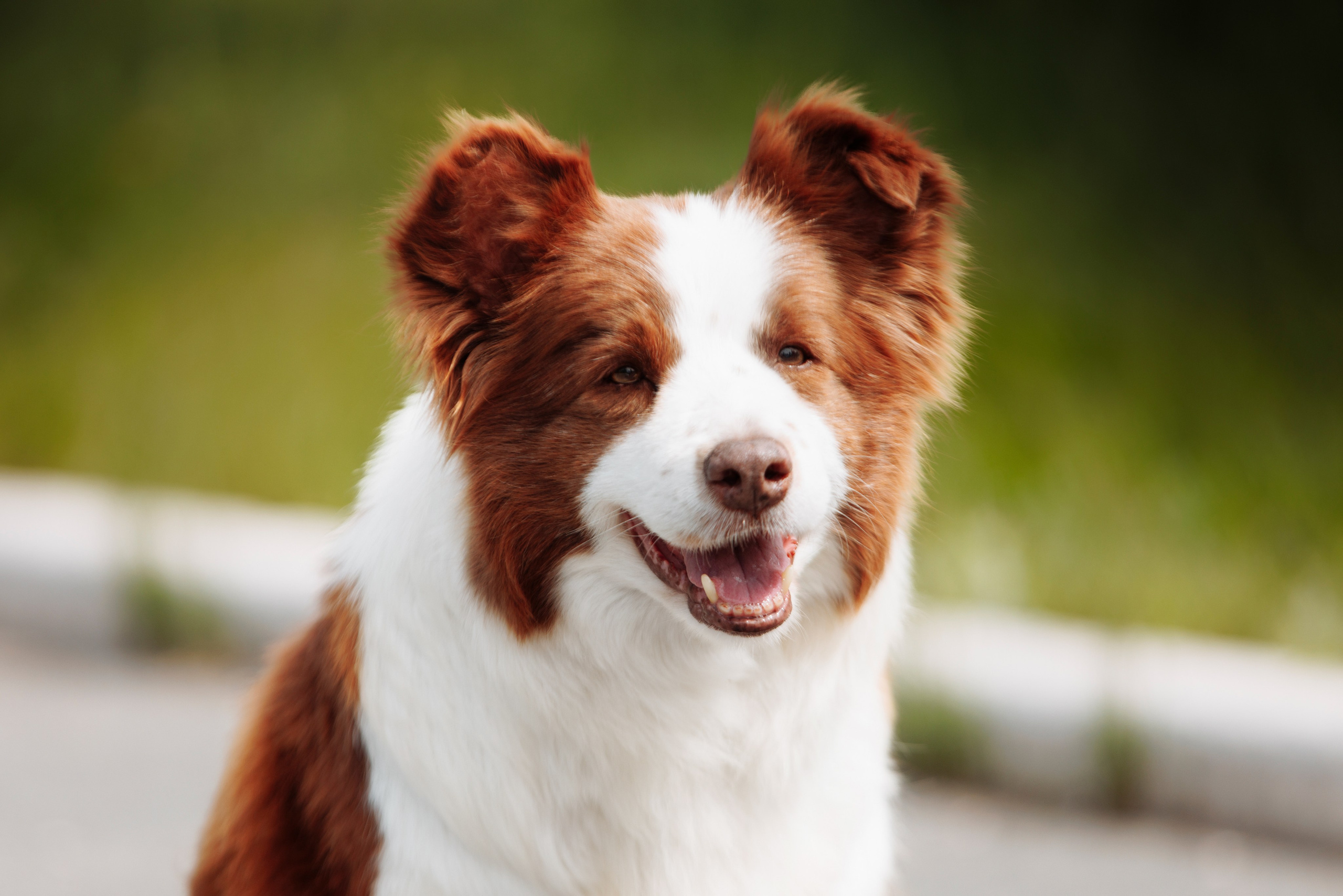 Такой разношерстный Орск 25. О нас