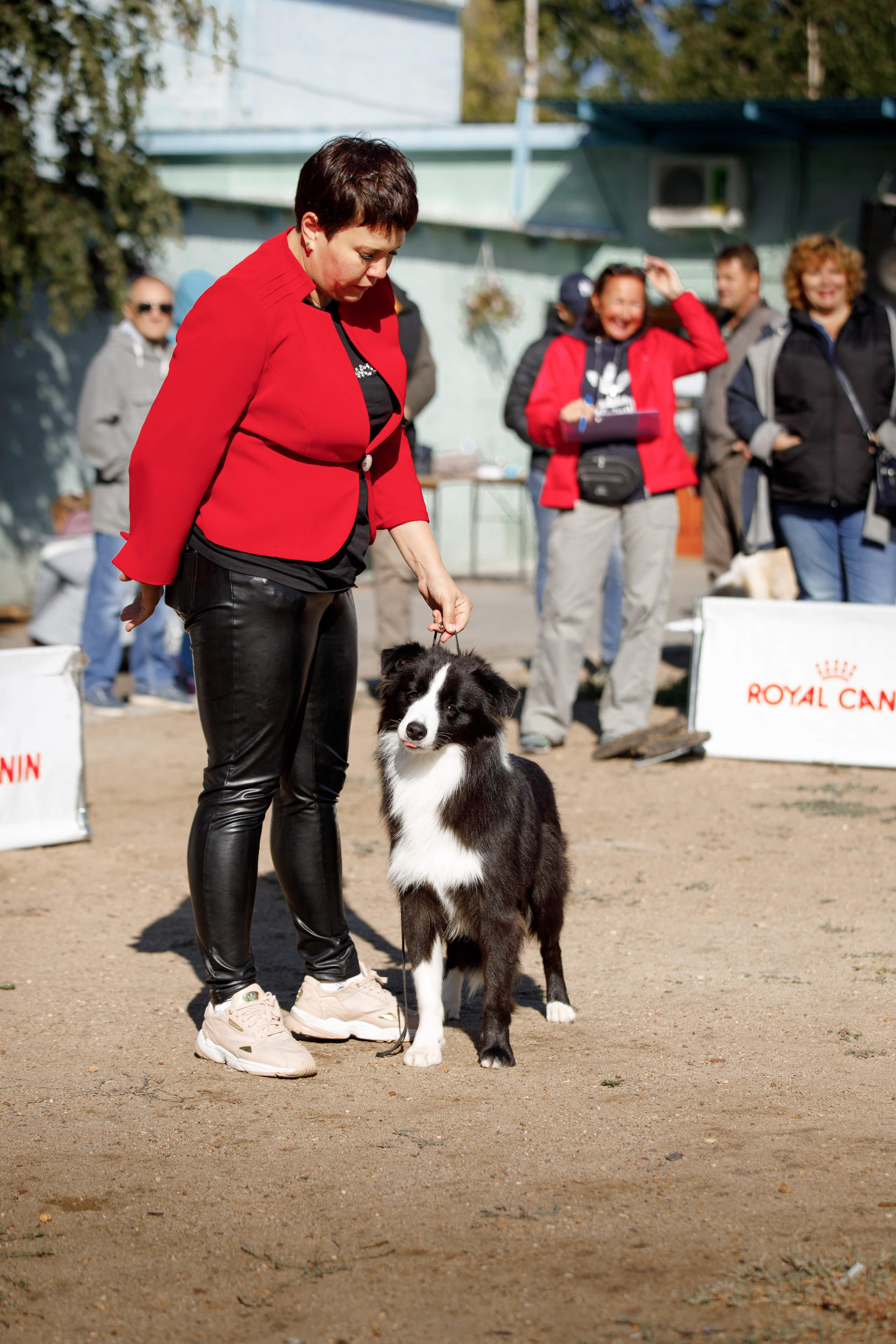 Водяные в Новотроицке. О нас