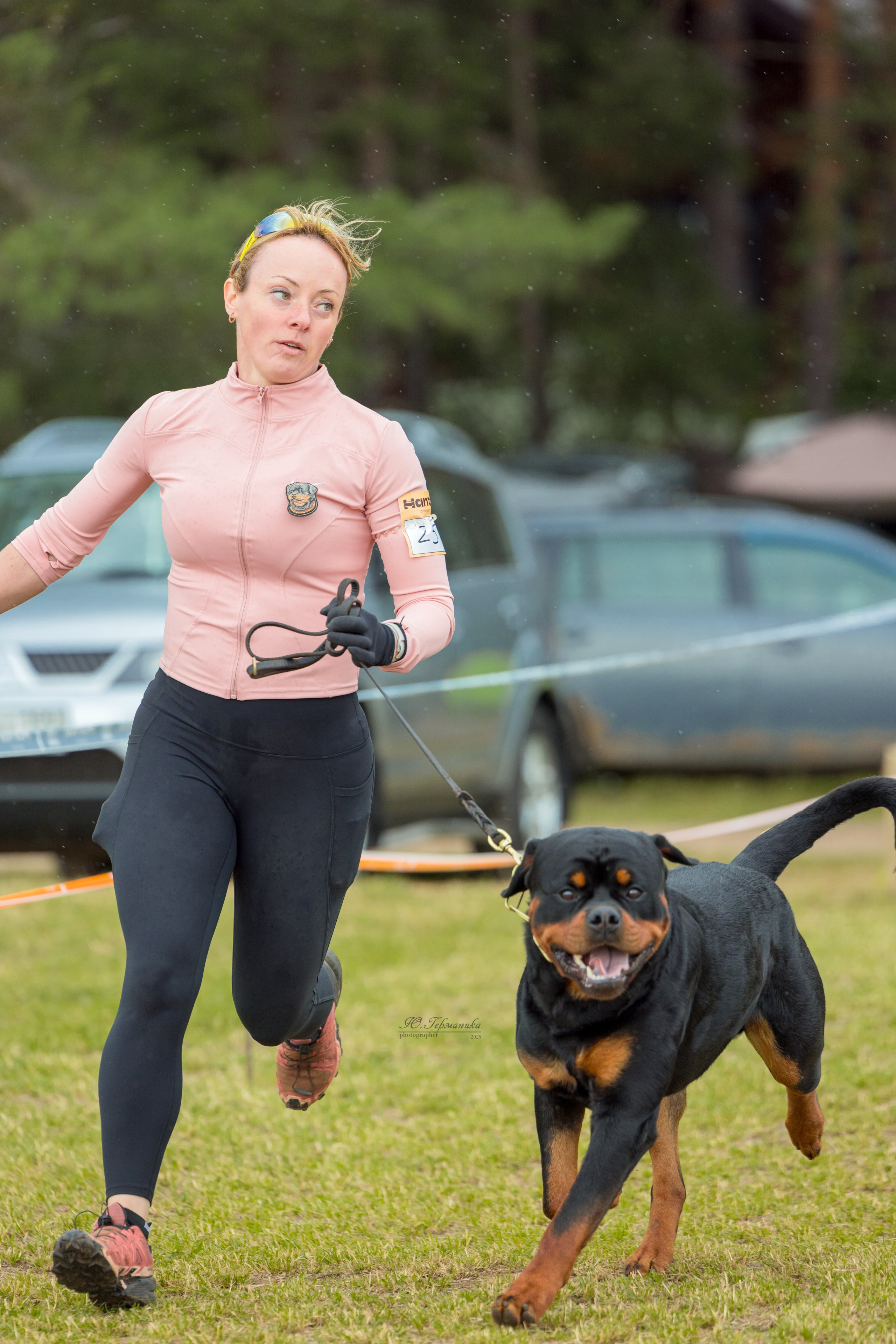 Тверь ротвейлеры 5-6.07.2025. Фотограф-анималист Юлия Германика