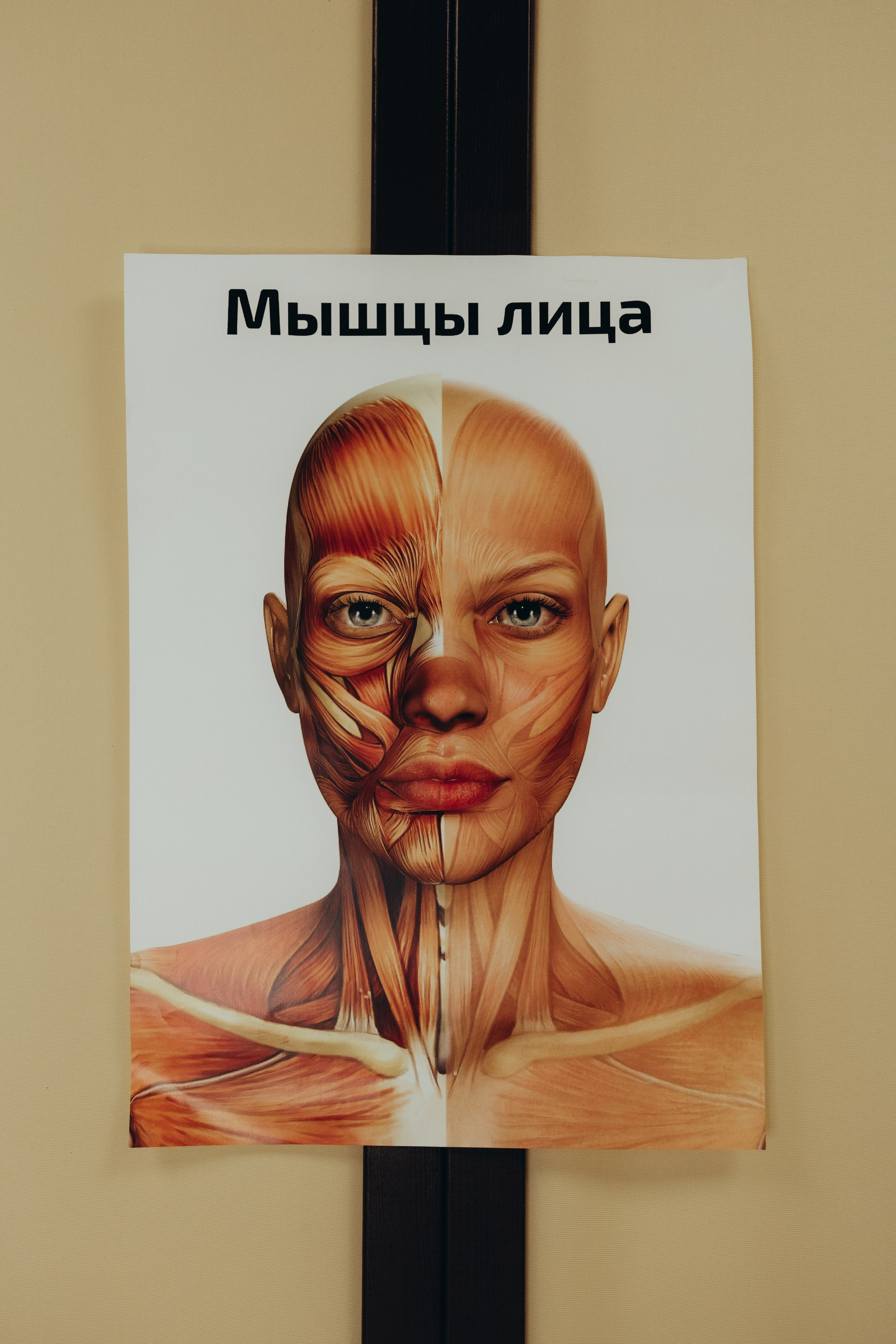 Ксения — массажист. Фотограф Москва Алёна Суворова