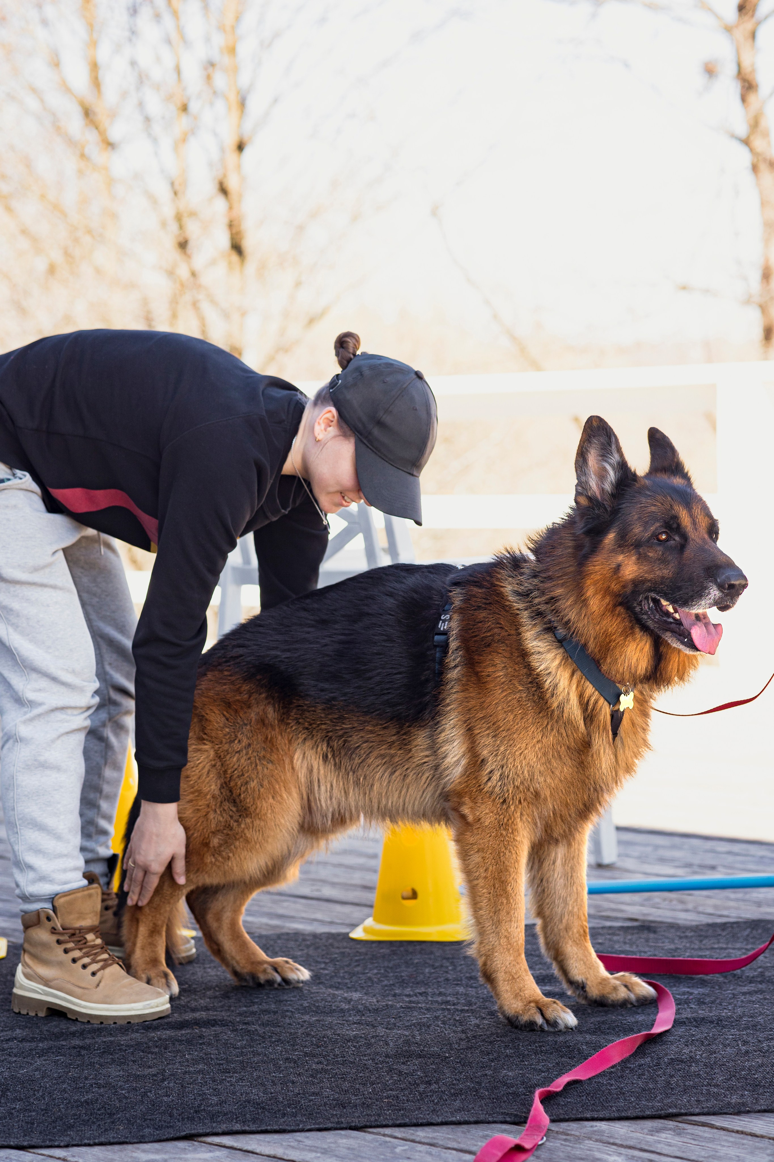 Смена в «DogCamp». Анастасия Белаш