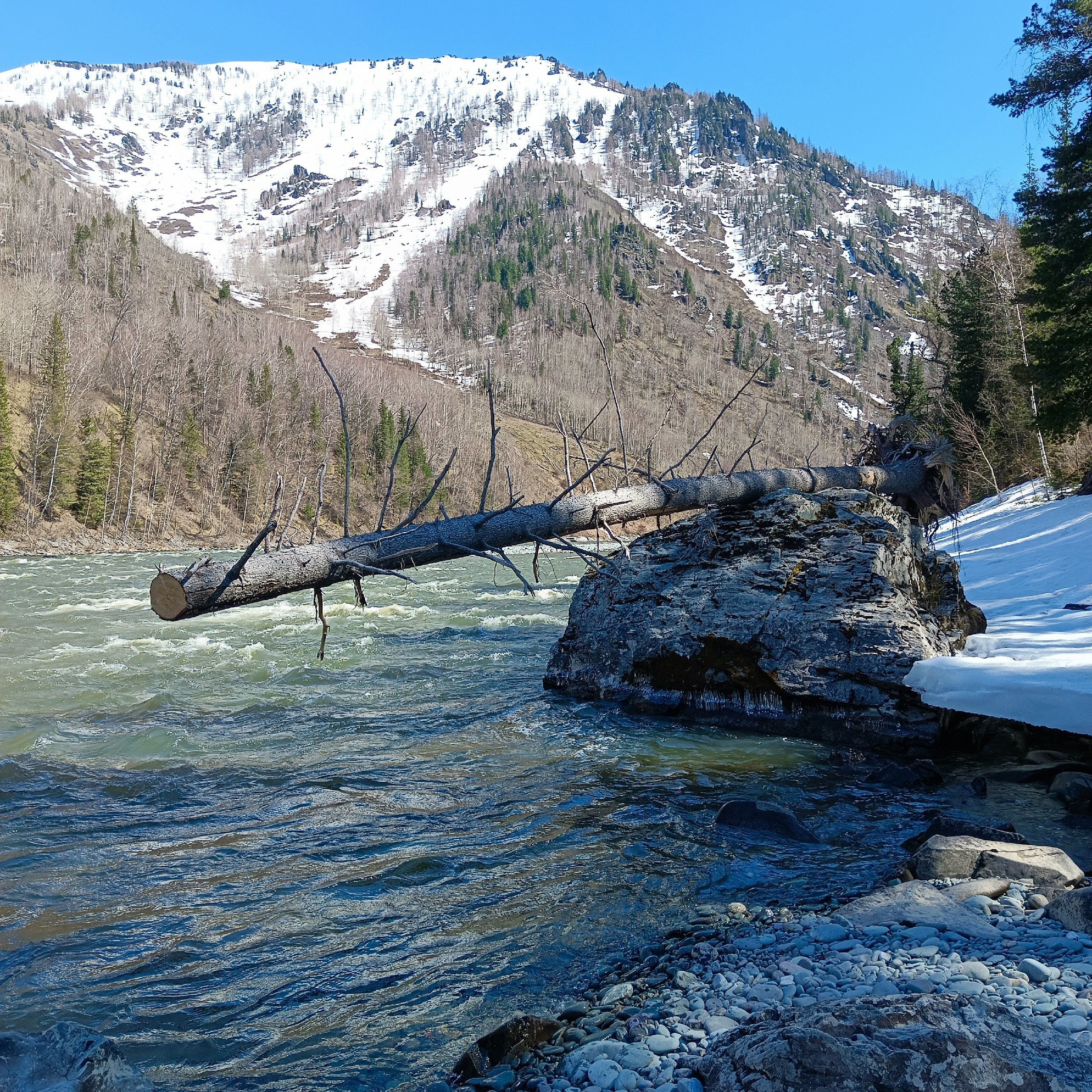 Галерея моих работ. AISA Foto