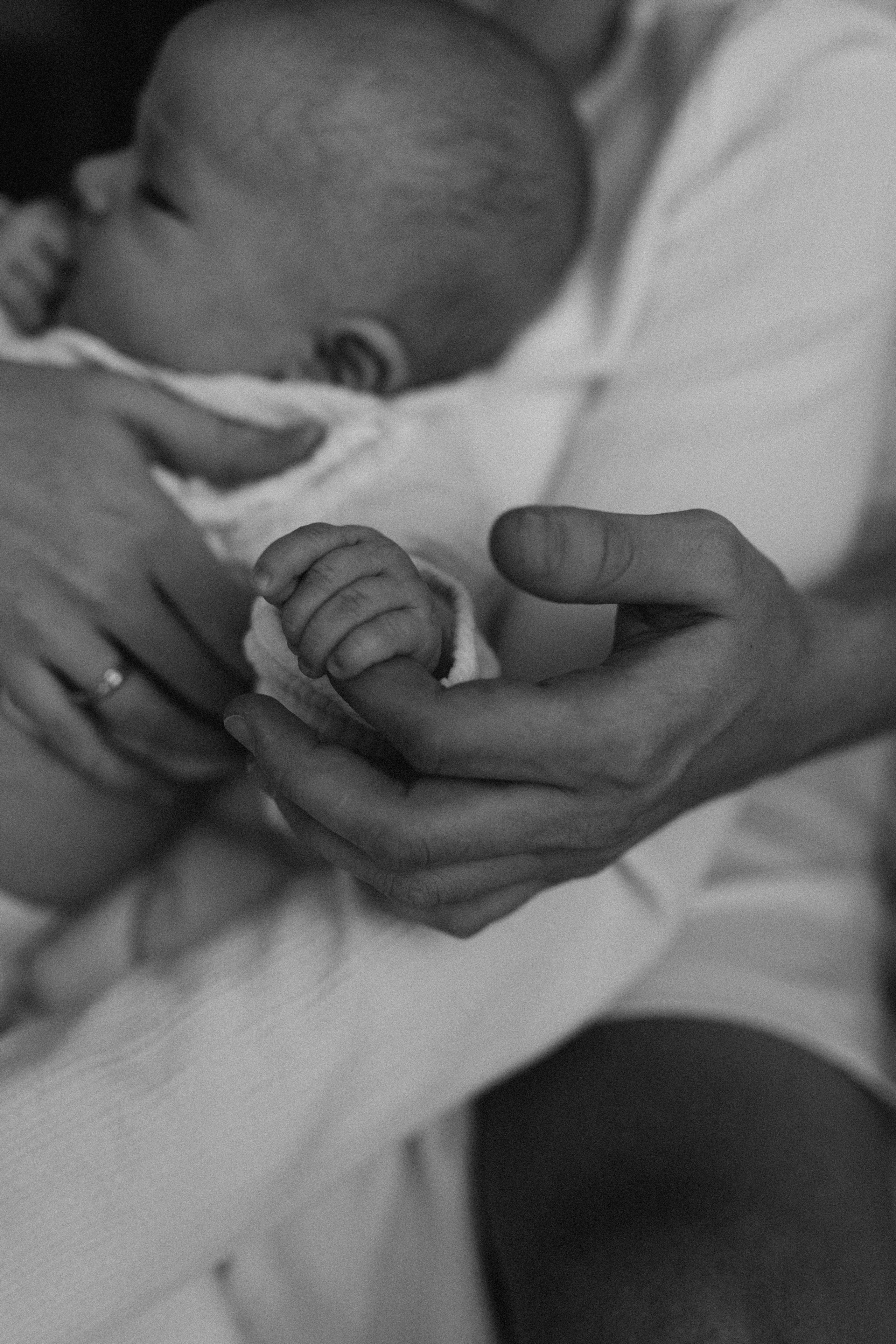 Про маленького дракончика. Брысина Алёна/ фотограф Петрозаводск, Карелия