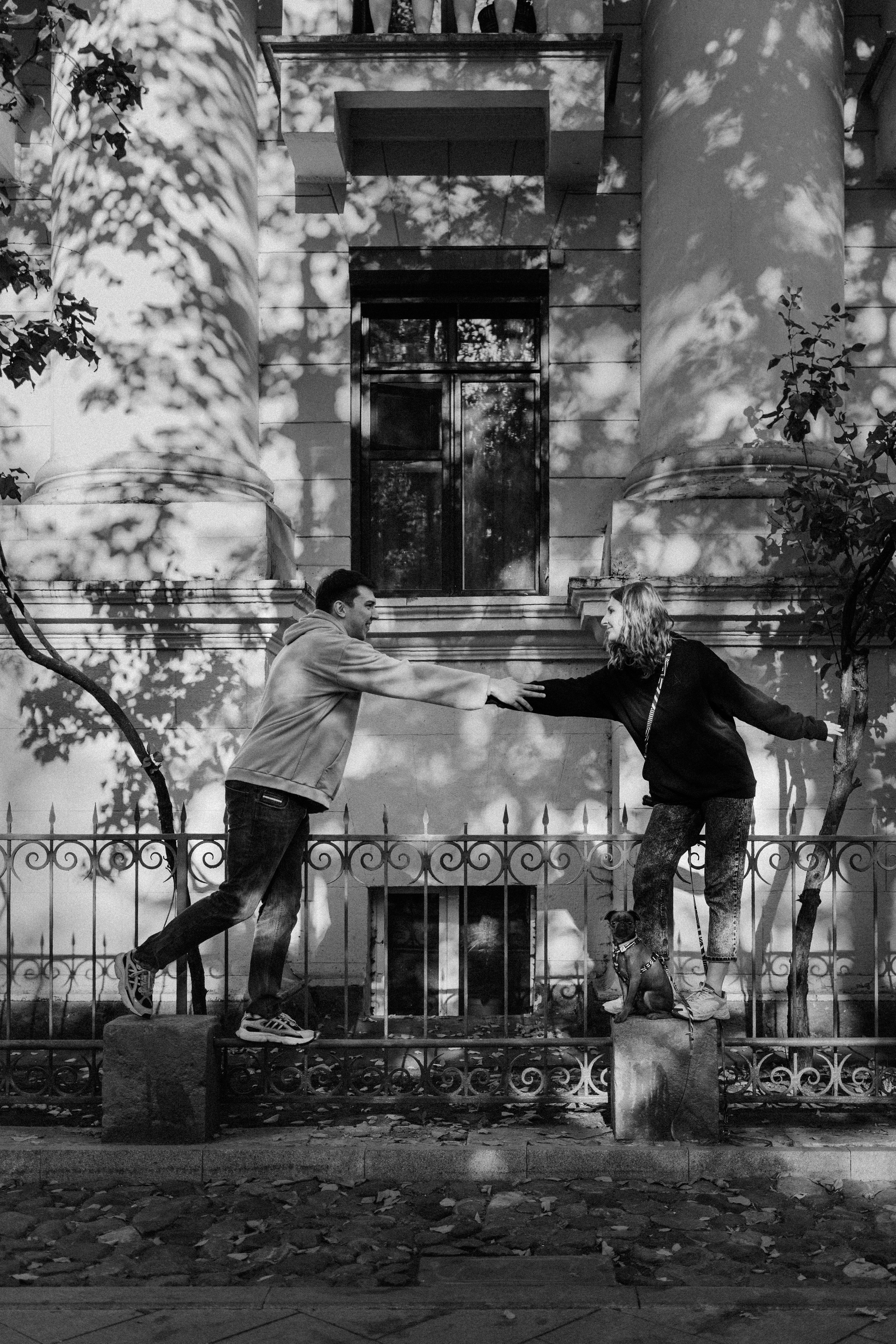 Грогу и его семья. Фотораф — анималист Мария Шистка