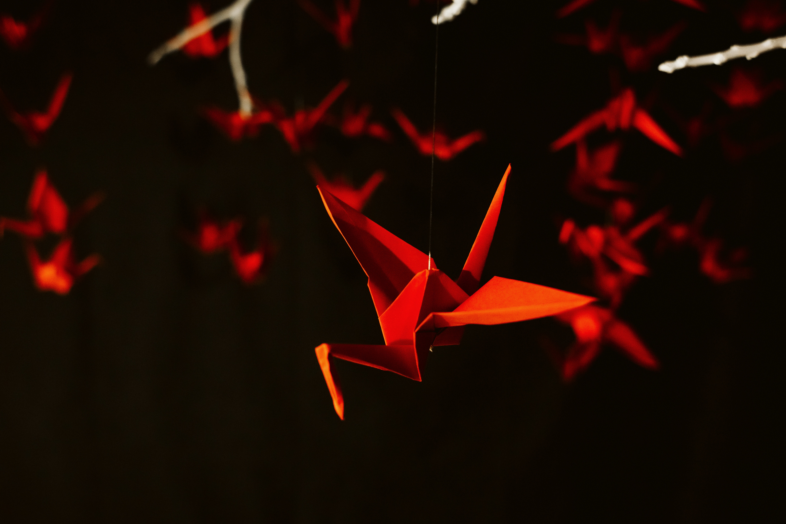 Фото выставки в Таганроге: профессиональная репортажная фотосъемка. Свадебный и семейный фотограф в Таганроге Бакарюк Антон