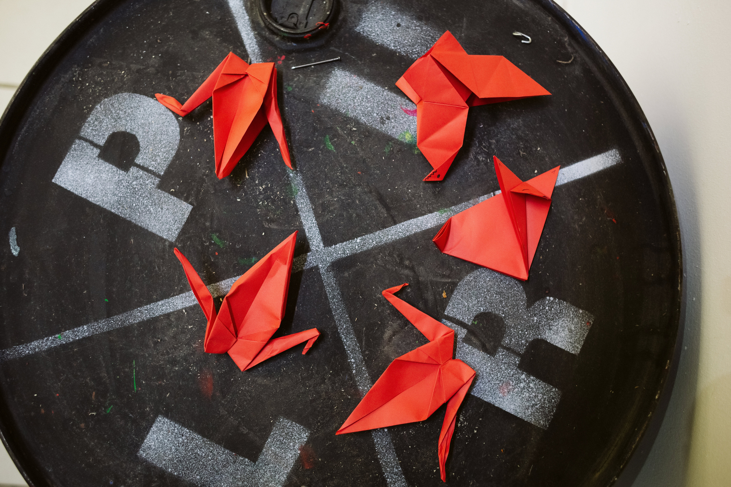 Фото выставки в Таганроге: профессиональная репортажная фотосъемка. Свадебный и семейный фотограф в Таганроге Бакарюк Антон