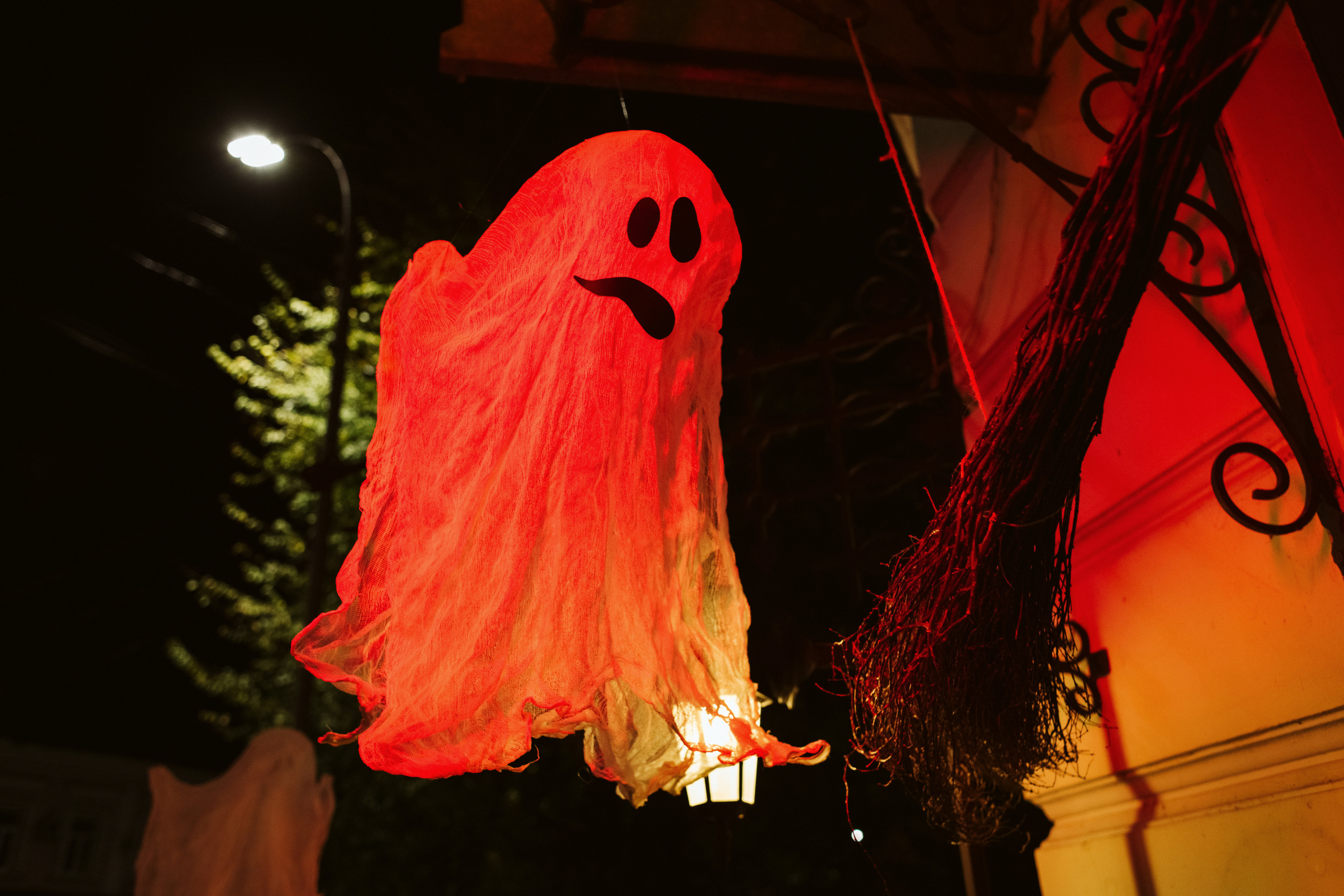 Моменты в Feola's Kitchen & Wine: репортажная фотосъемка в Таганроге. Свадебный и семейный фотограф в Таганроге Бакарюк Антон