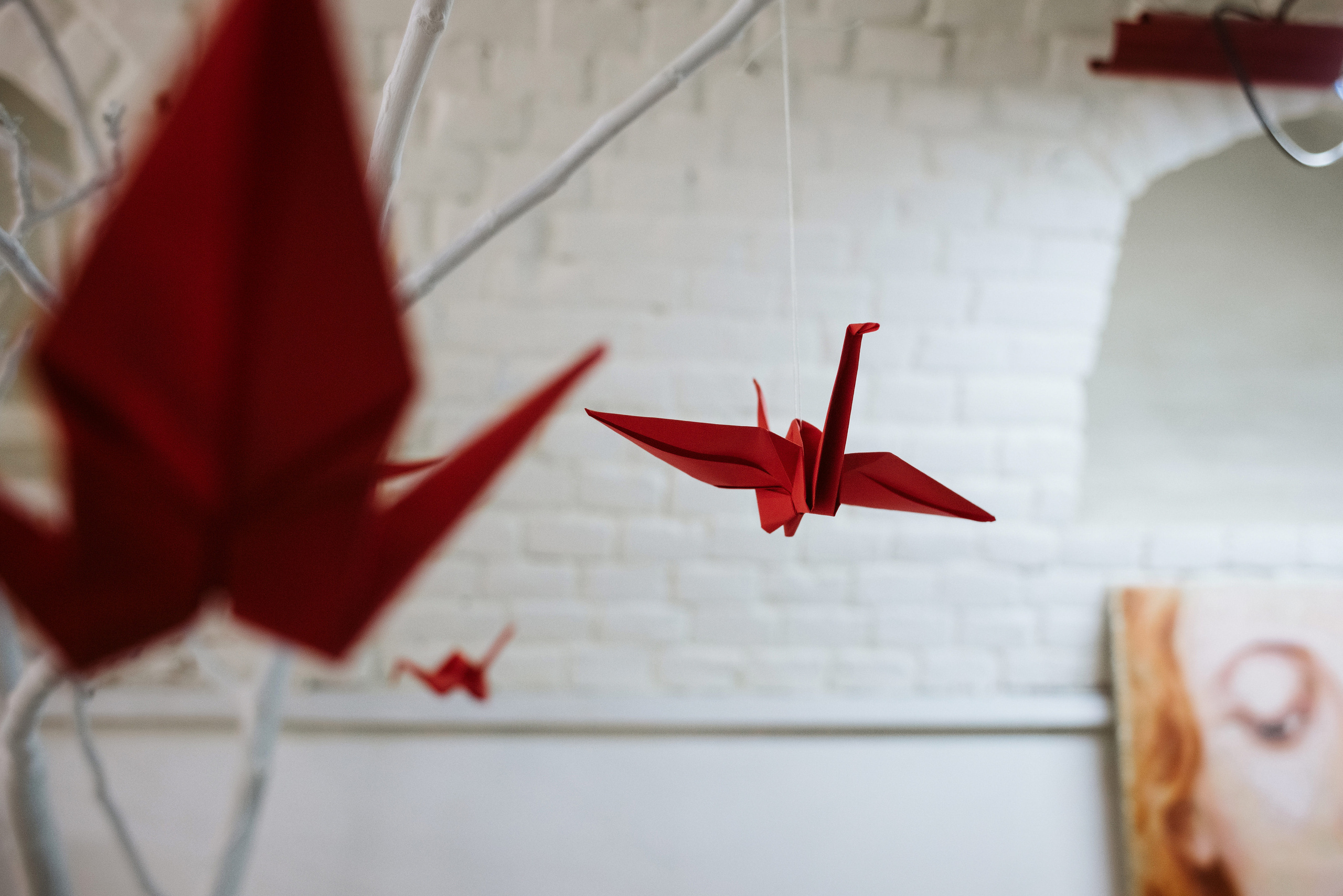 Фото выставки в Таганроге: профессиональная репортажная фотосъемка. Свадебный и семейный фотограф в Таганроге Бакарюк Антон