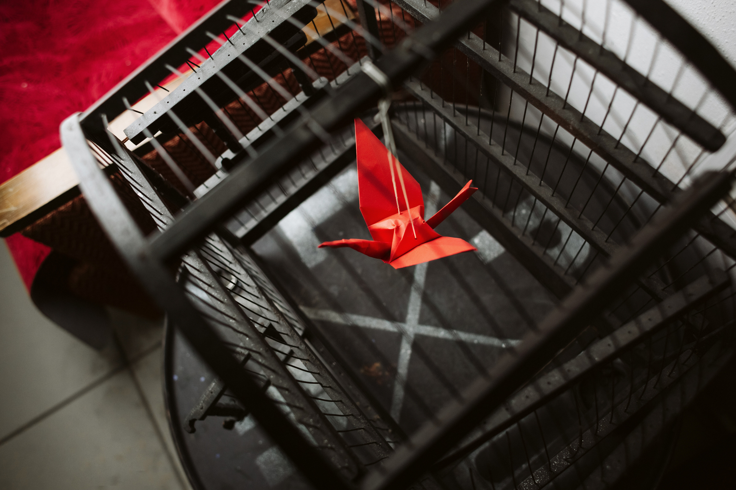 Фото выставки в Таганроге: профессиональная репортажная фотосъемка. Свадебный и семейный фотограф в Таганроге Бакарюк Антон