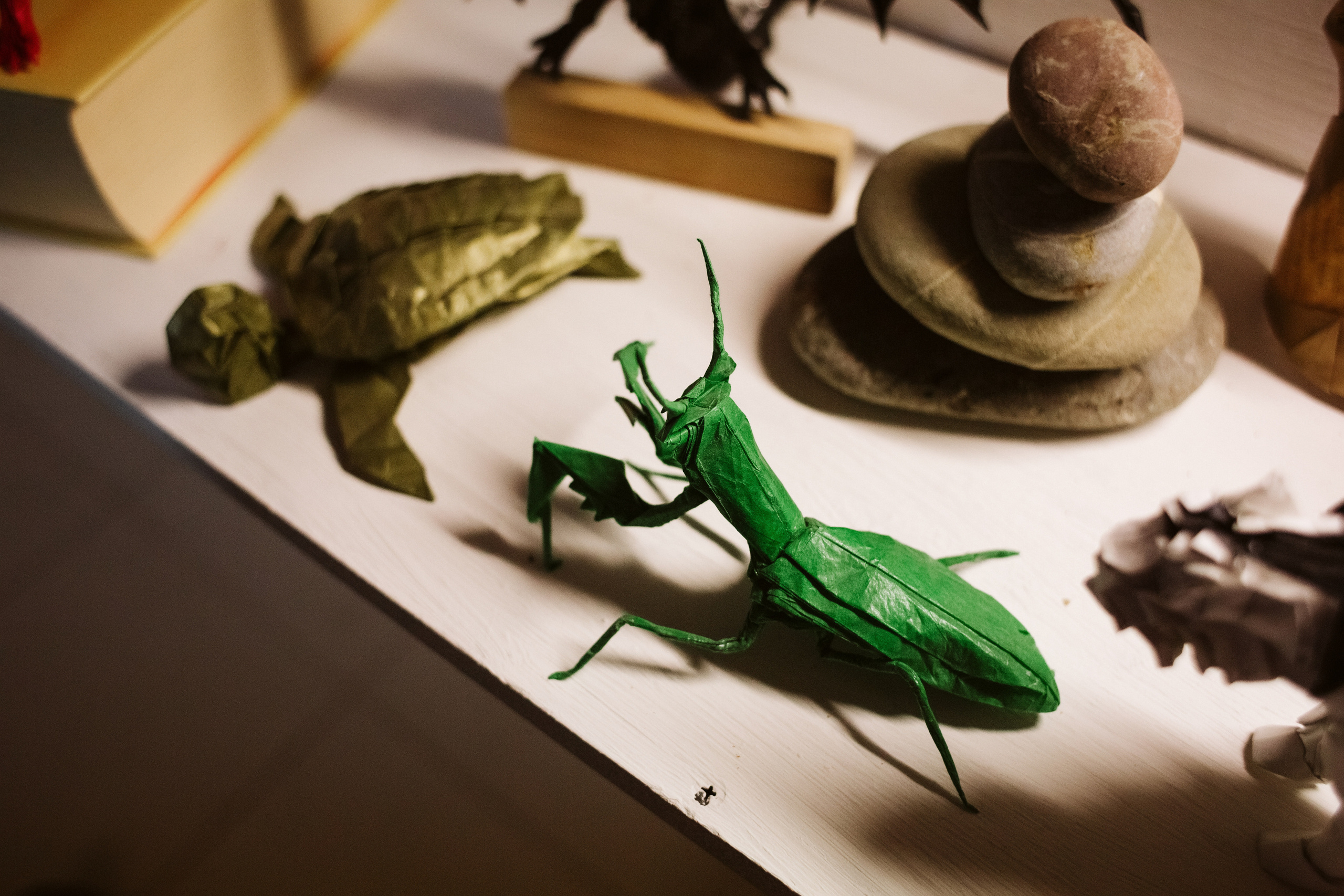 Фото выставки в Таганроге: профессиональная репортажная фотосъемка. Свадебный и семейный фотограф в Таганроге Бакарюк Антон