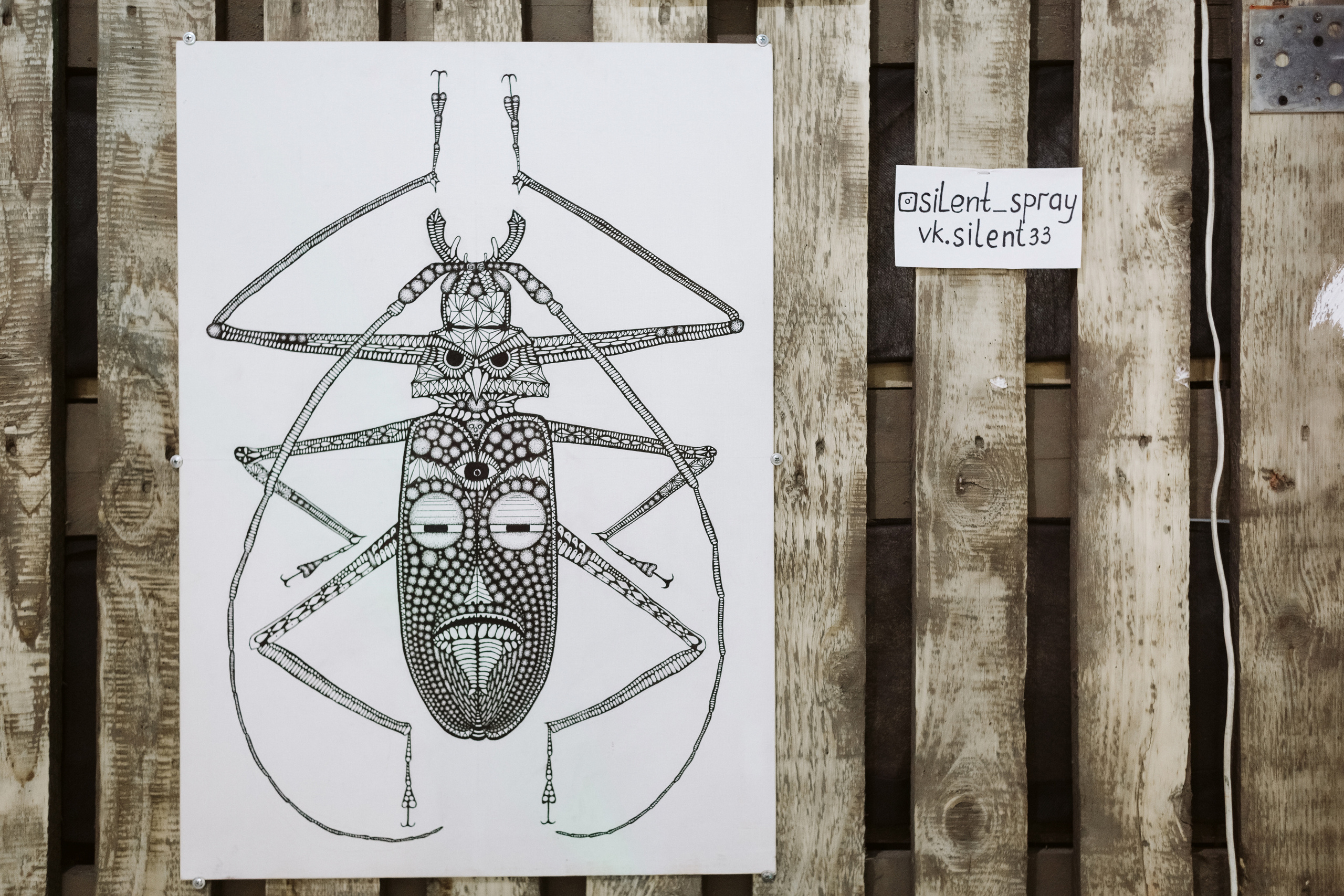 Фото выставки в Таганроге: профессиональная репортажная фотосъемка. Свадебный и семейный фотограф в Таганроге Бакарюк Антон