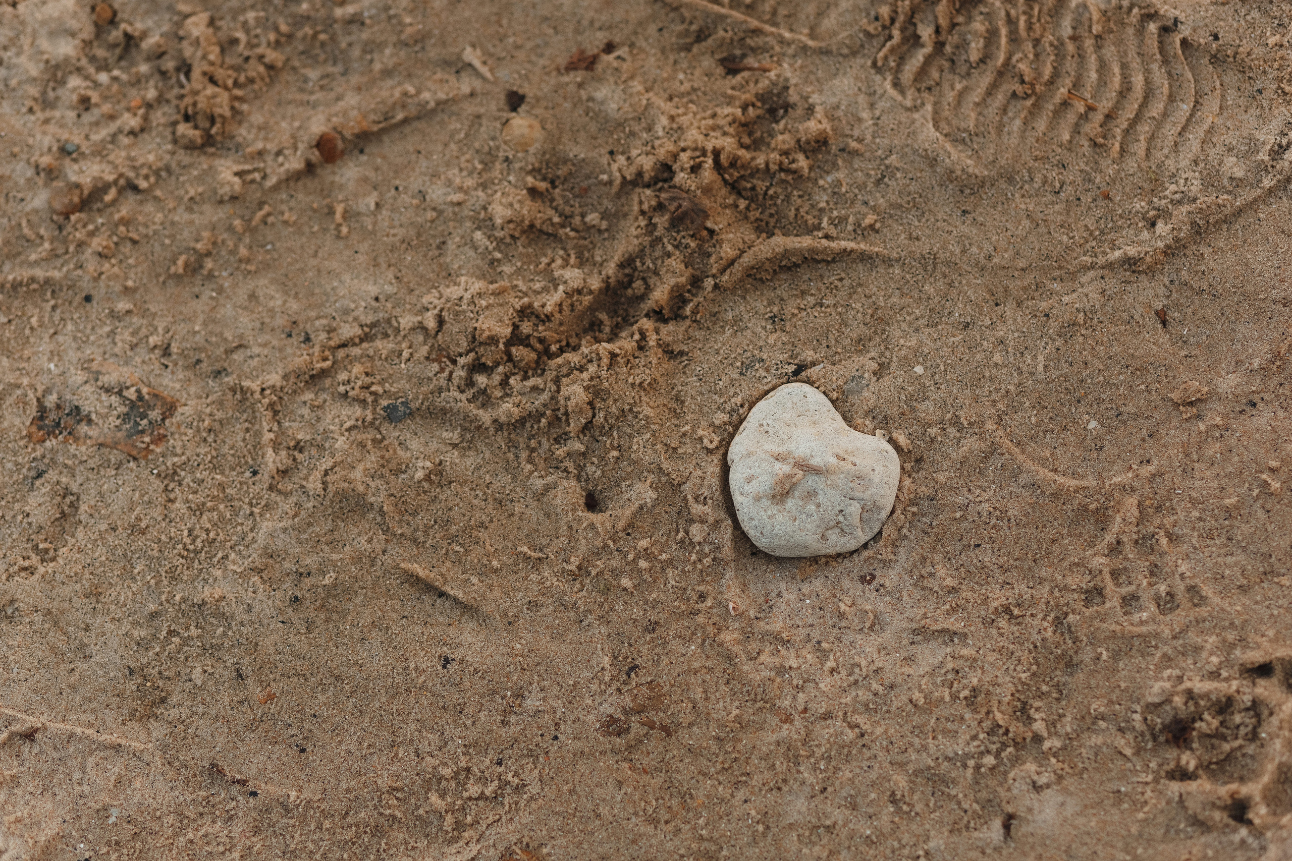 Любвь на Богудонии: Ваня и Таня в романтической фотосессии в Таганроге. Свадебный и семейный фотограф в Таганроге Бакарюк Антон