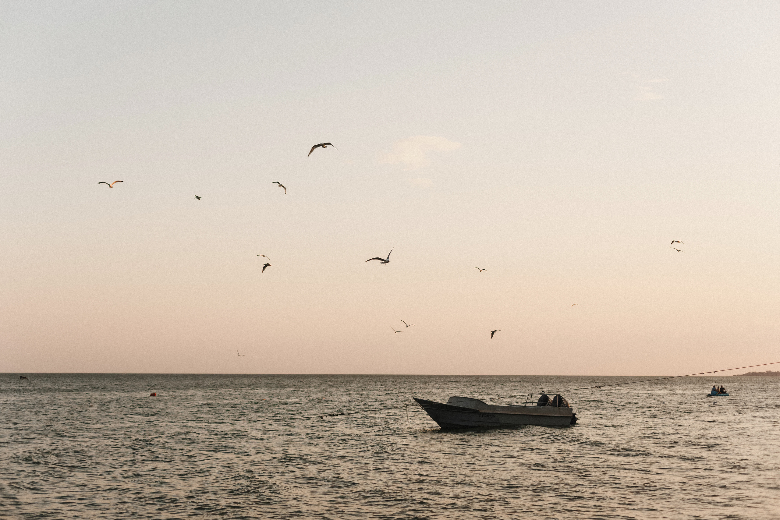 Любвь на Богудонии: Ваня и Таня в романтической фотосессии в Таганроге. Свадебный и семейный фотограф в Таганроге Бакарюк Антон