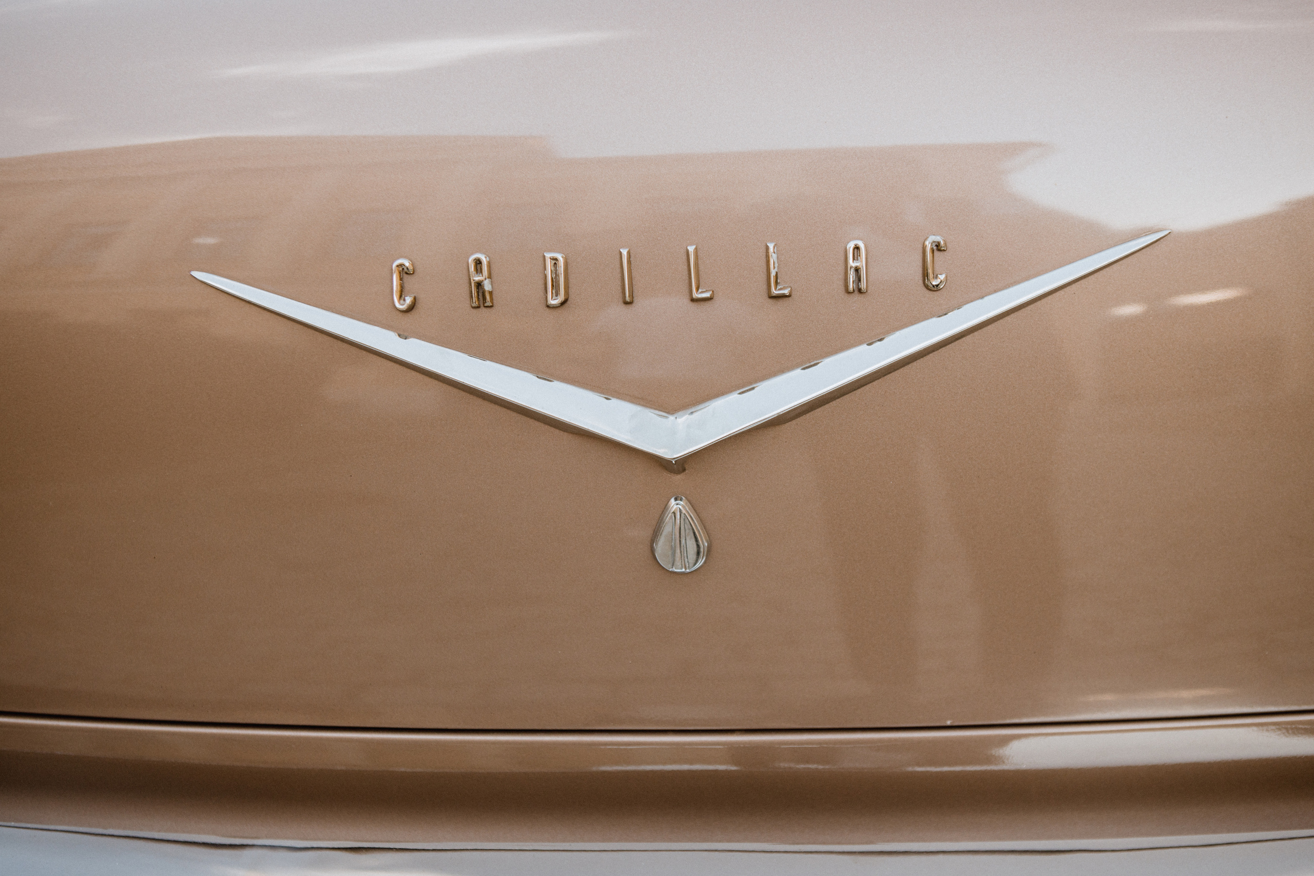 V&A. Свадебный и семейный фотограф Чижова Алина