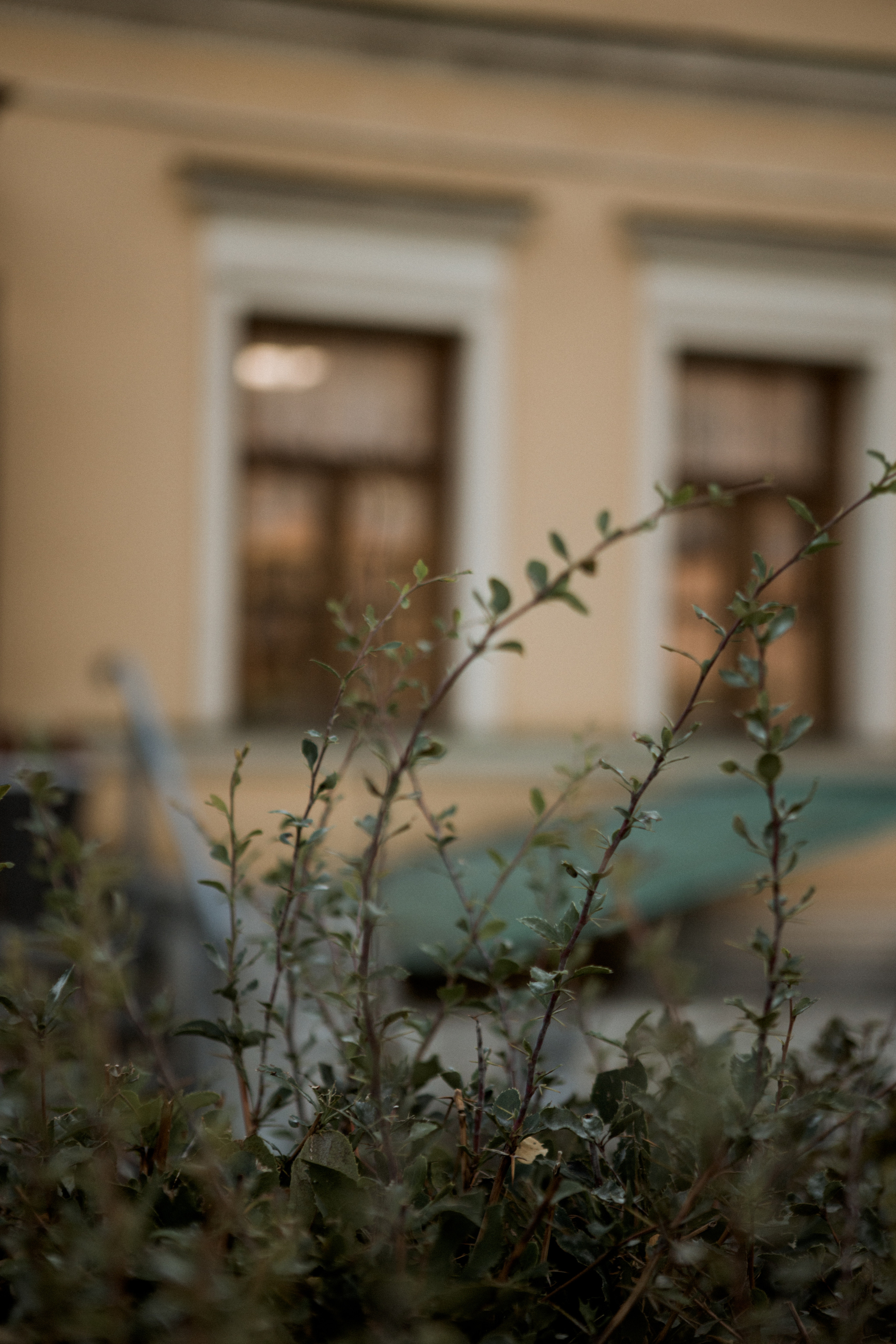 V&A. Свадебный и семейный фотограф Чижова Алина