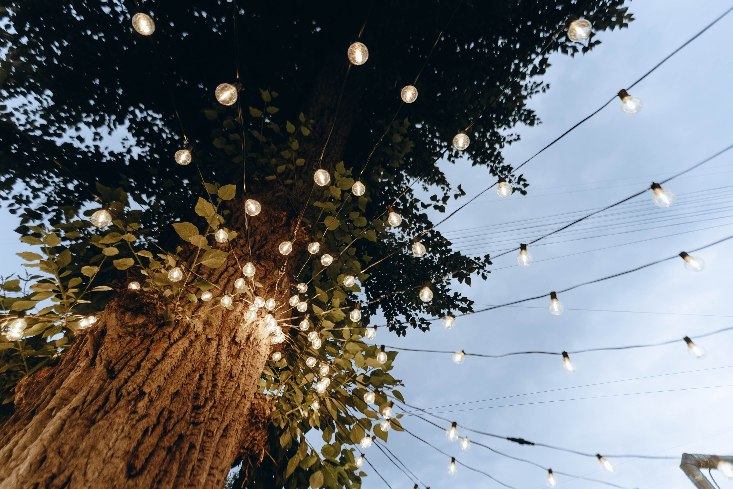 Корпоратив SUGA. Фотограф Аннё| Москва