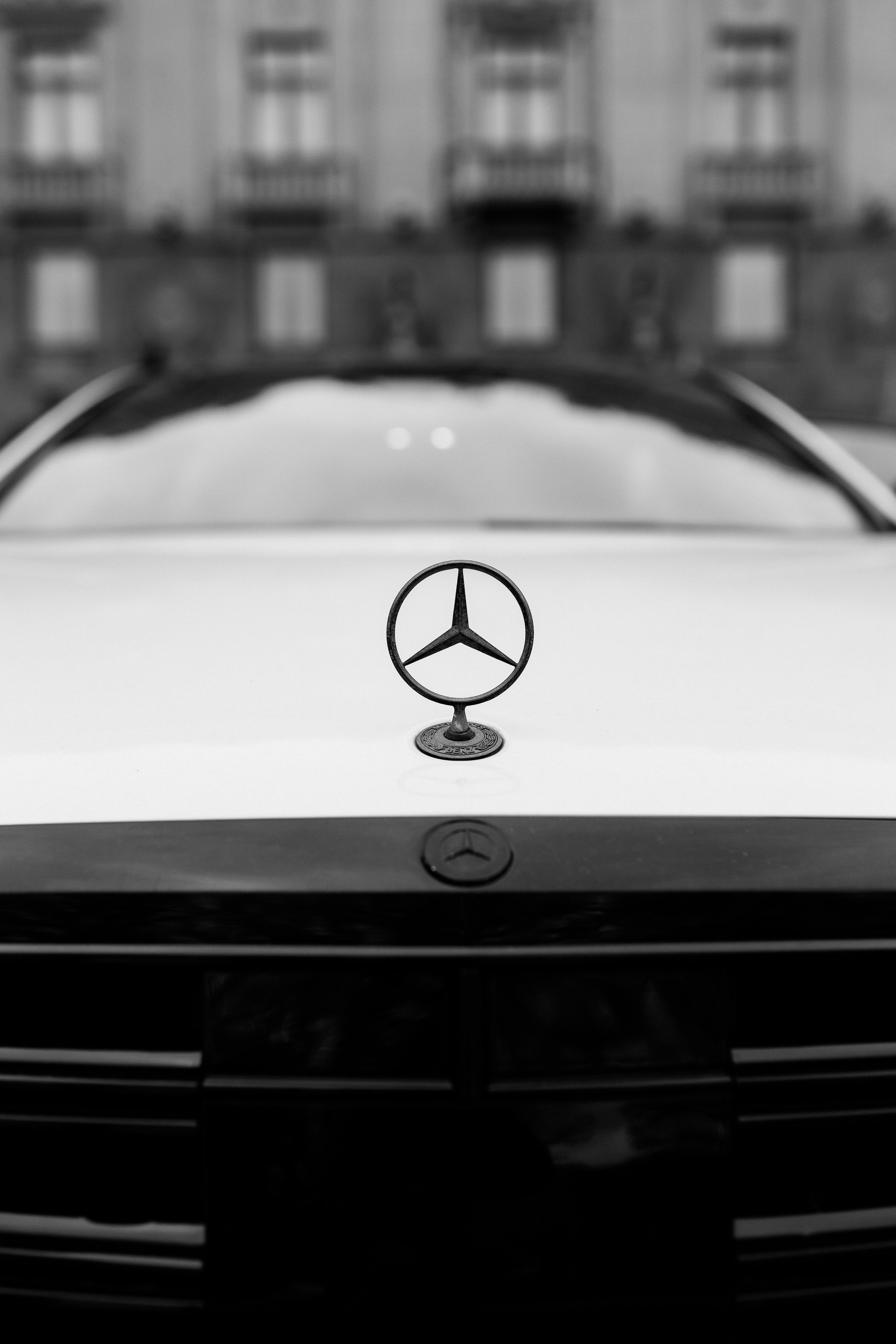 Станислав и Кристина. Семейный и Свадебный Фотограф в Санкт-Петербурге Науменко Владислав