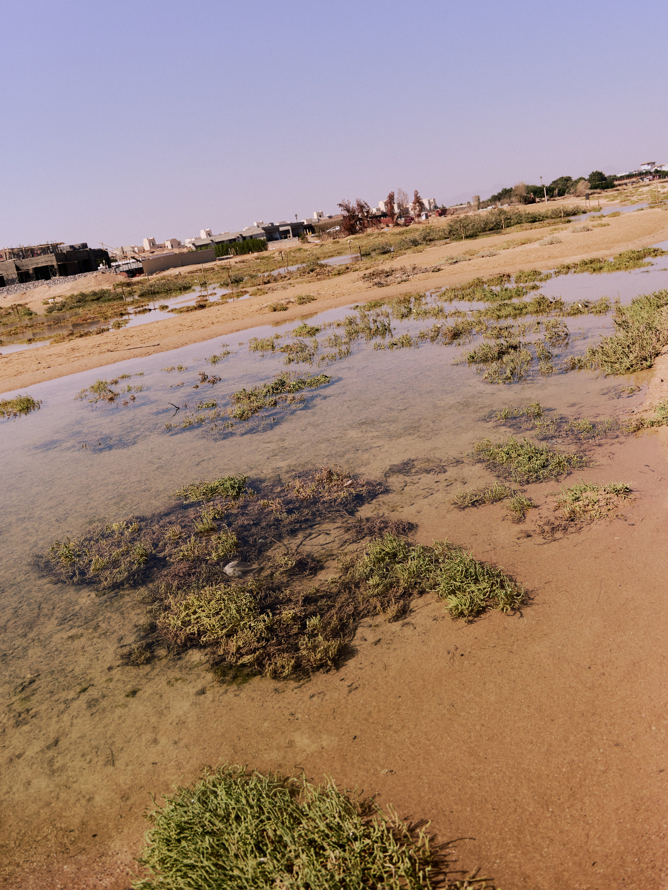 Другое 3. Jorgis — фотограф в Хургаде / обучение фотографии