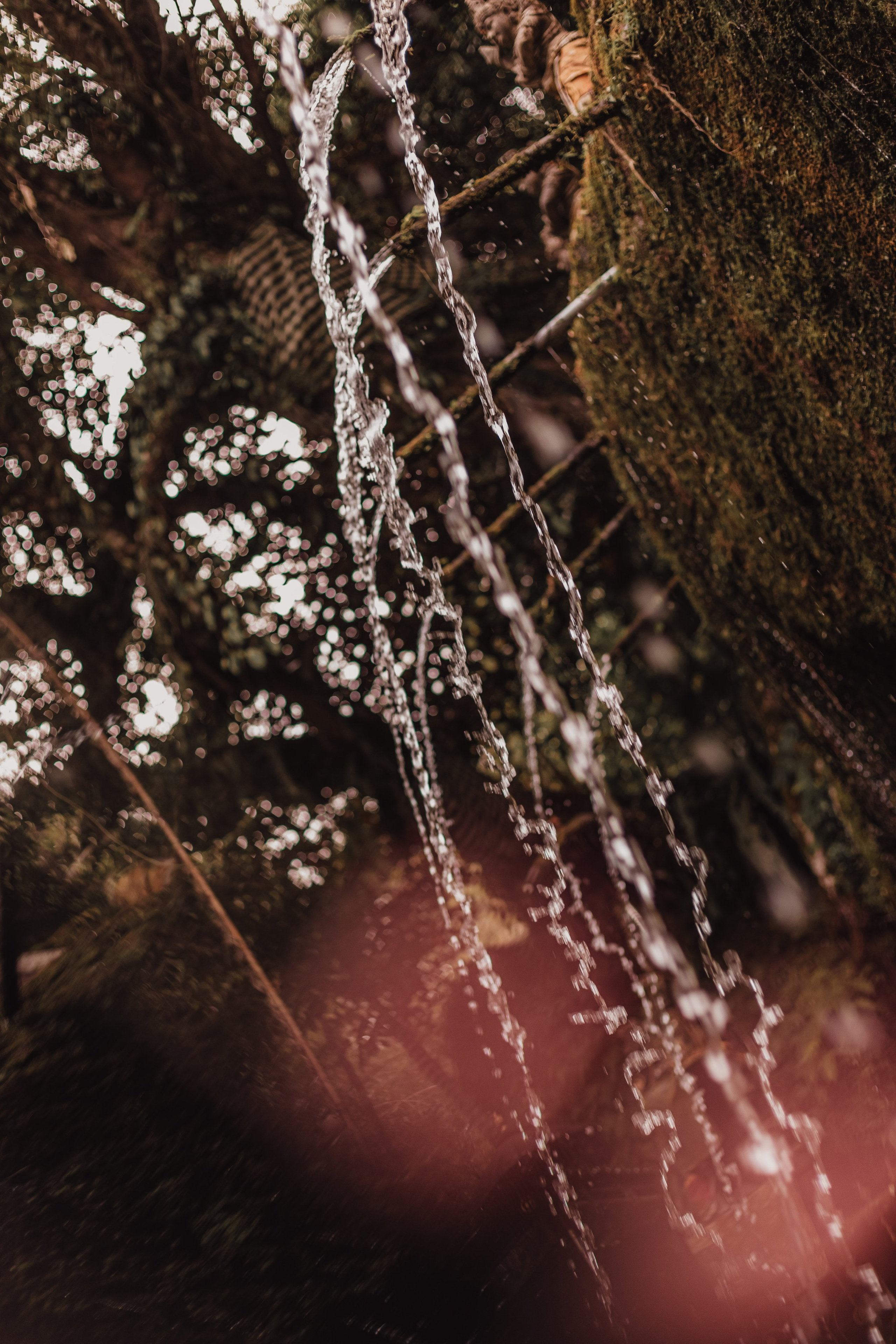 Water temple. Mariam Bagdasaryan