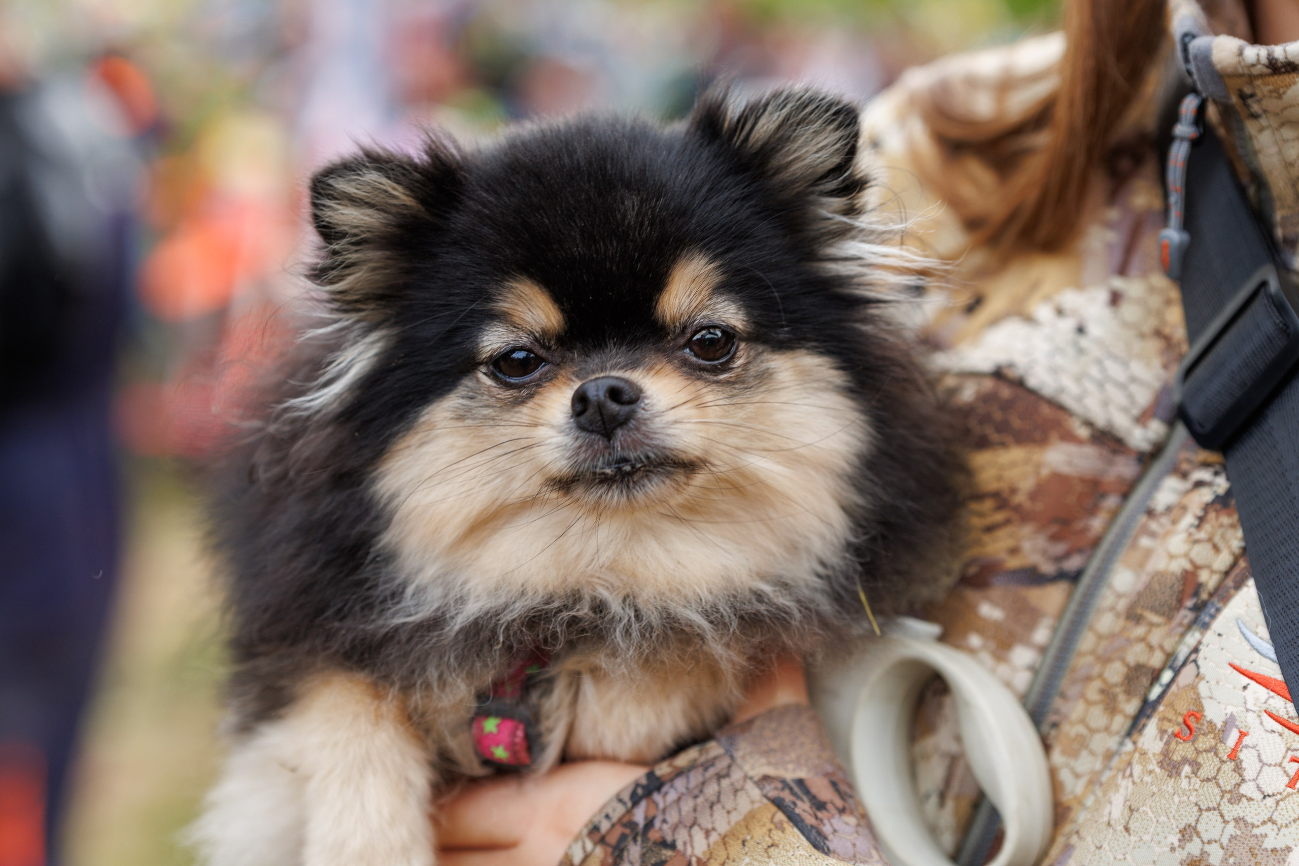 SET Project 2025. Свадебный, семейный и репортажный фотограф в Южно-Сахалинске Артур Петросян
