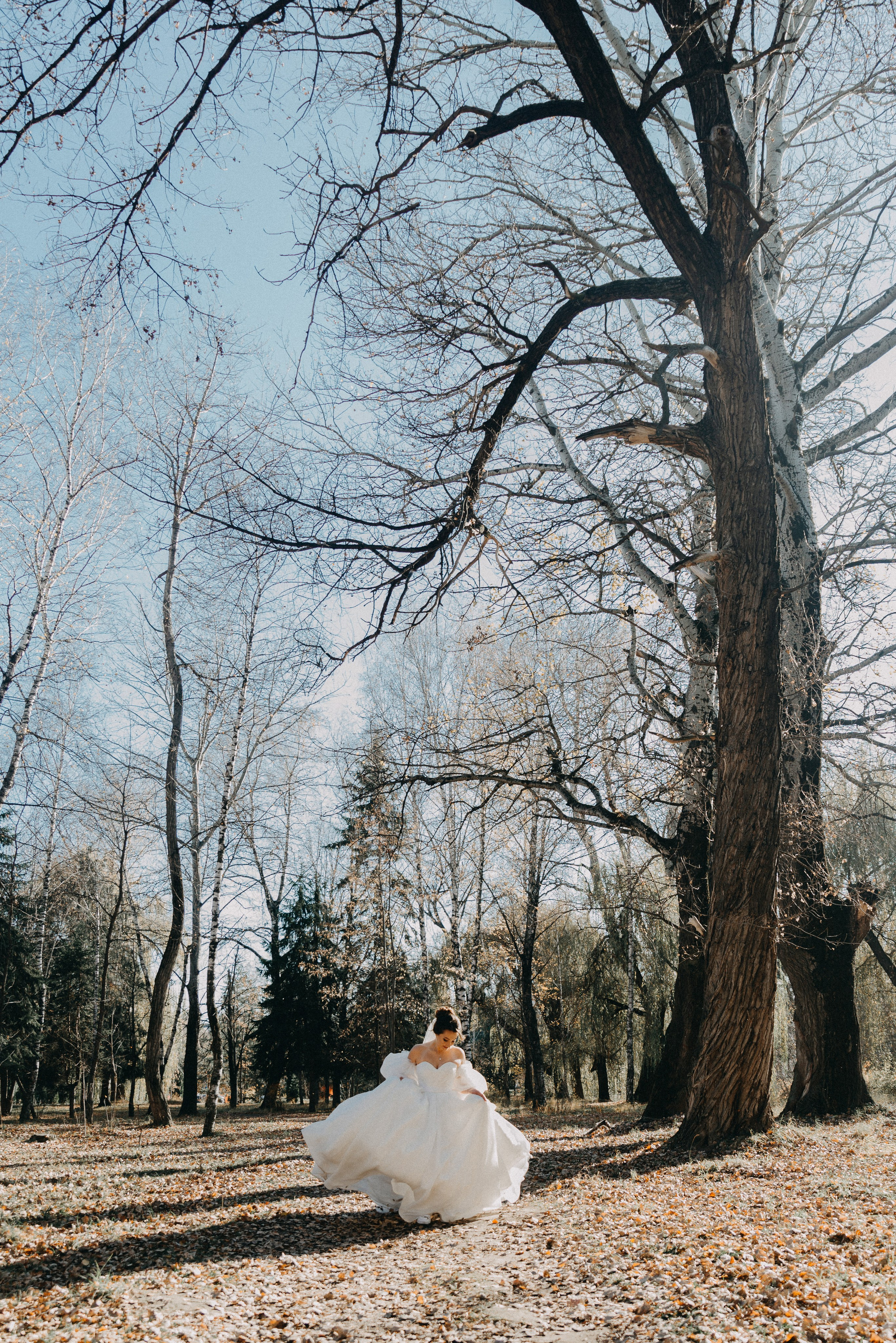 Свадебные съёмки. Фотограф Диана Семенова