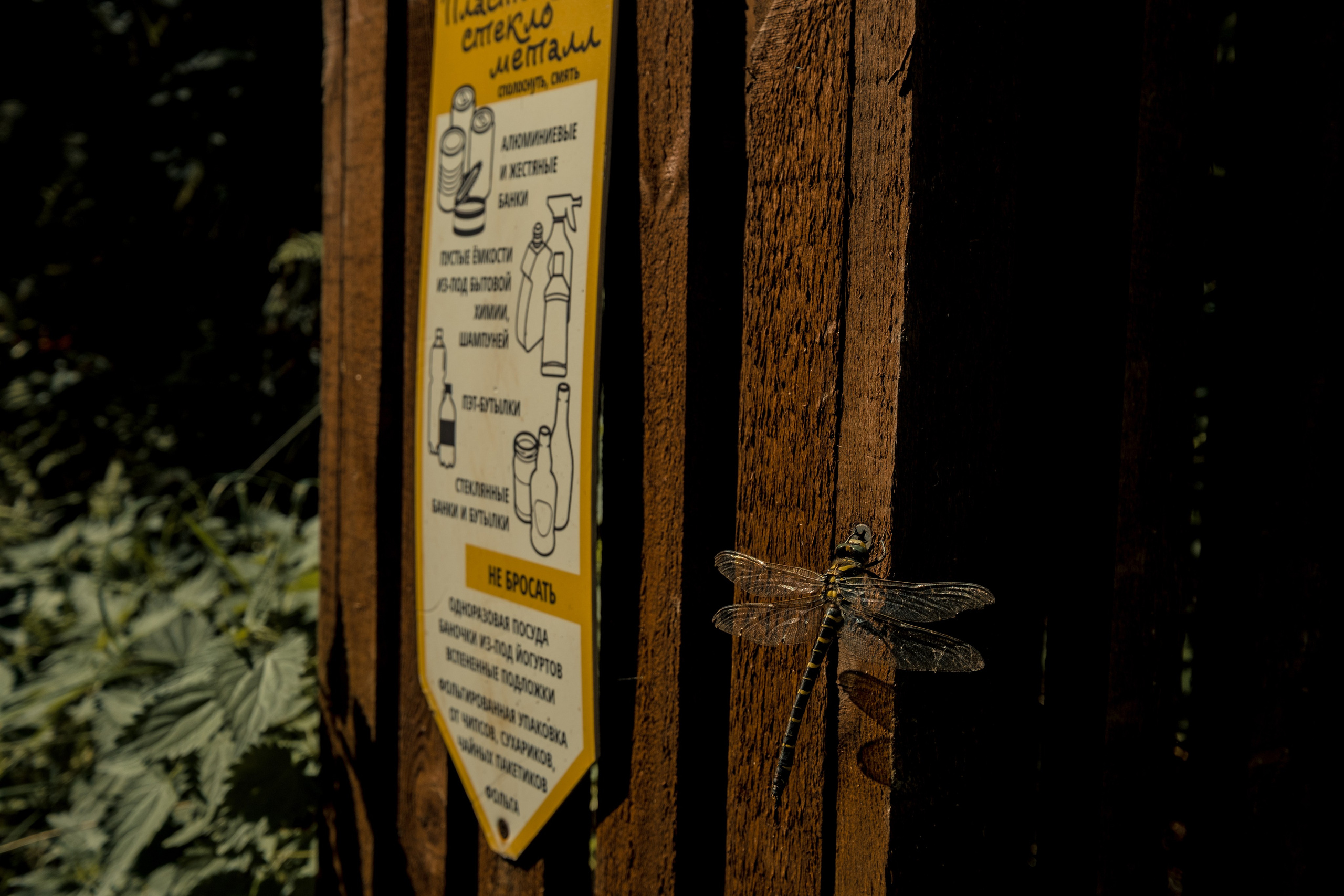 Фотографии Каргополя и красивые виды Русского Севера. Портретный, репортажный и пейзажный фотограф в Москве Сергей Арест