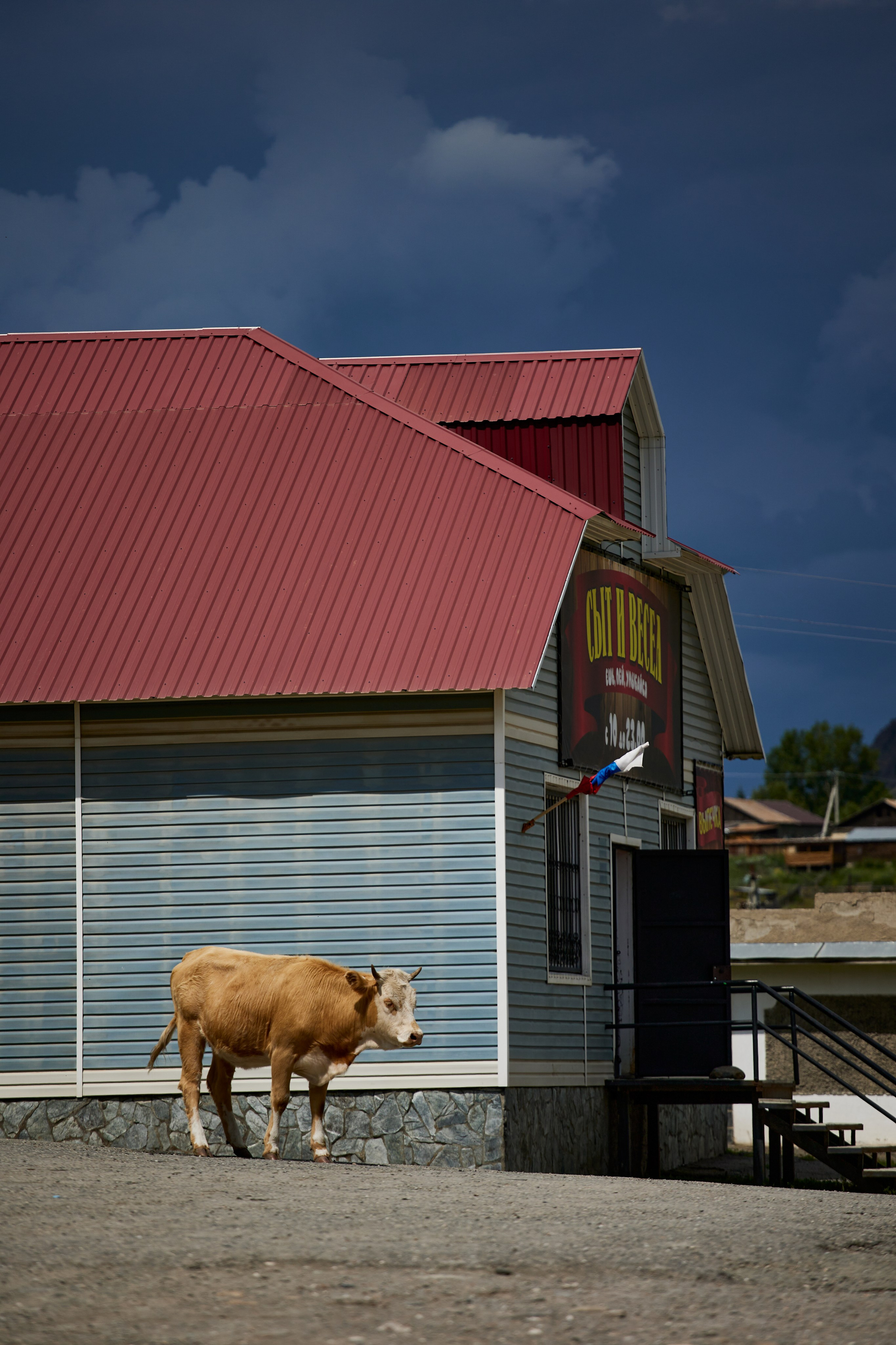 Алтай. Хороший репортажный и промышленный фотограф в Казани Алексей Щелконогов
