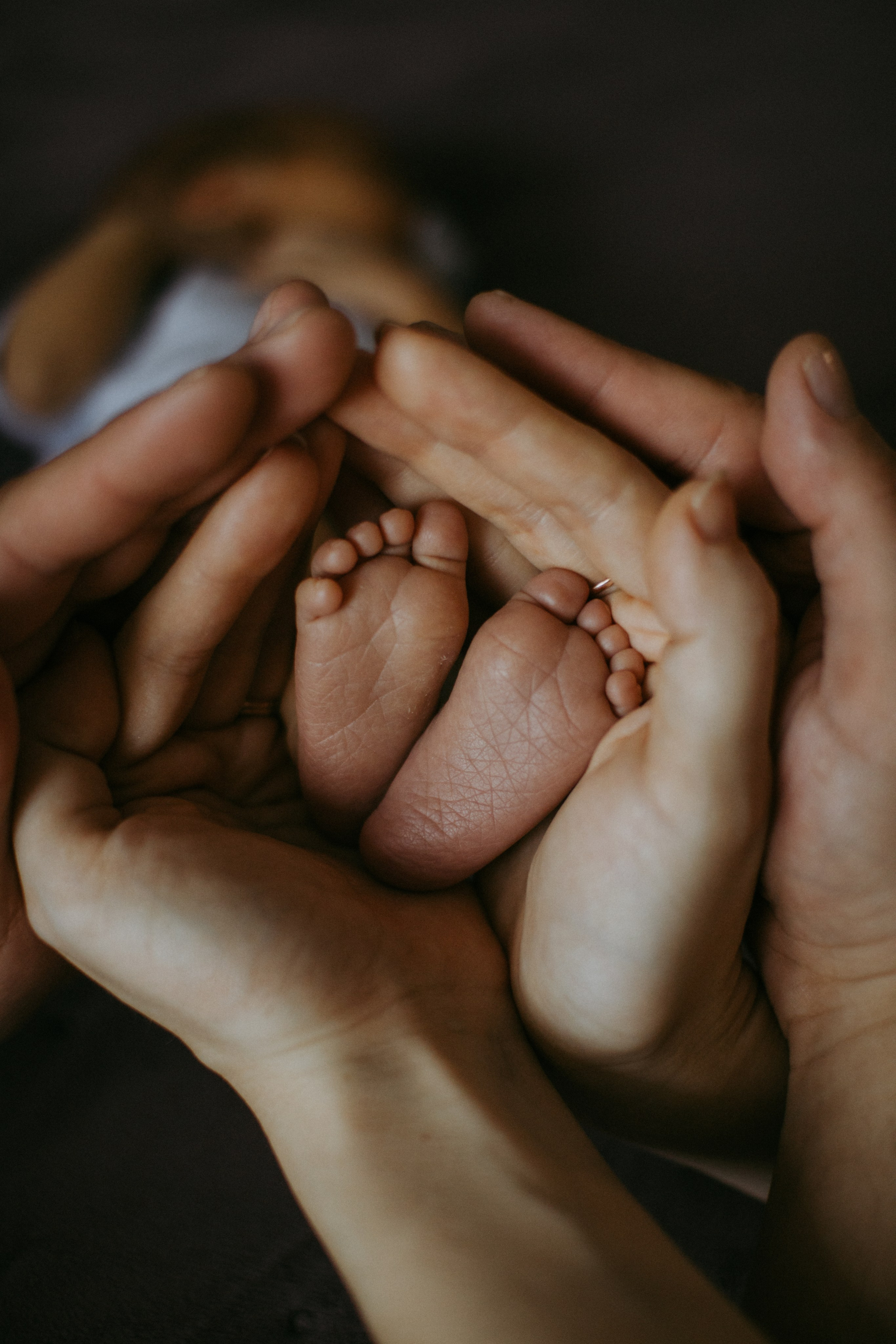 Фотограф Тула Полина Терешонкова