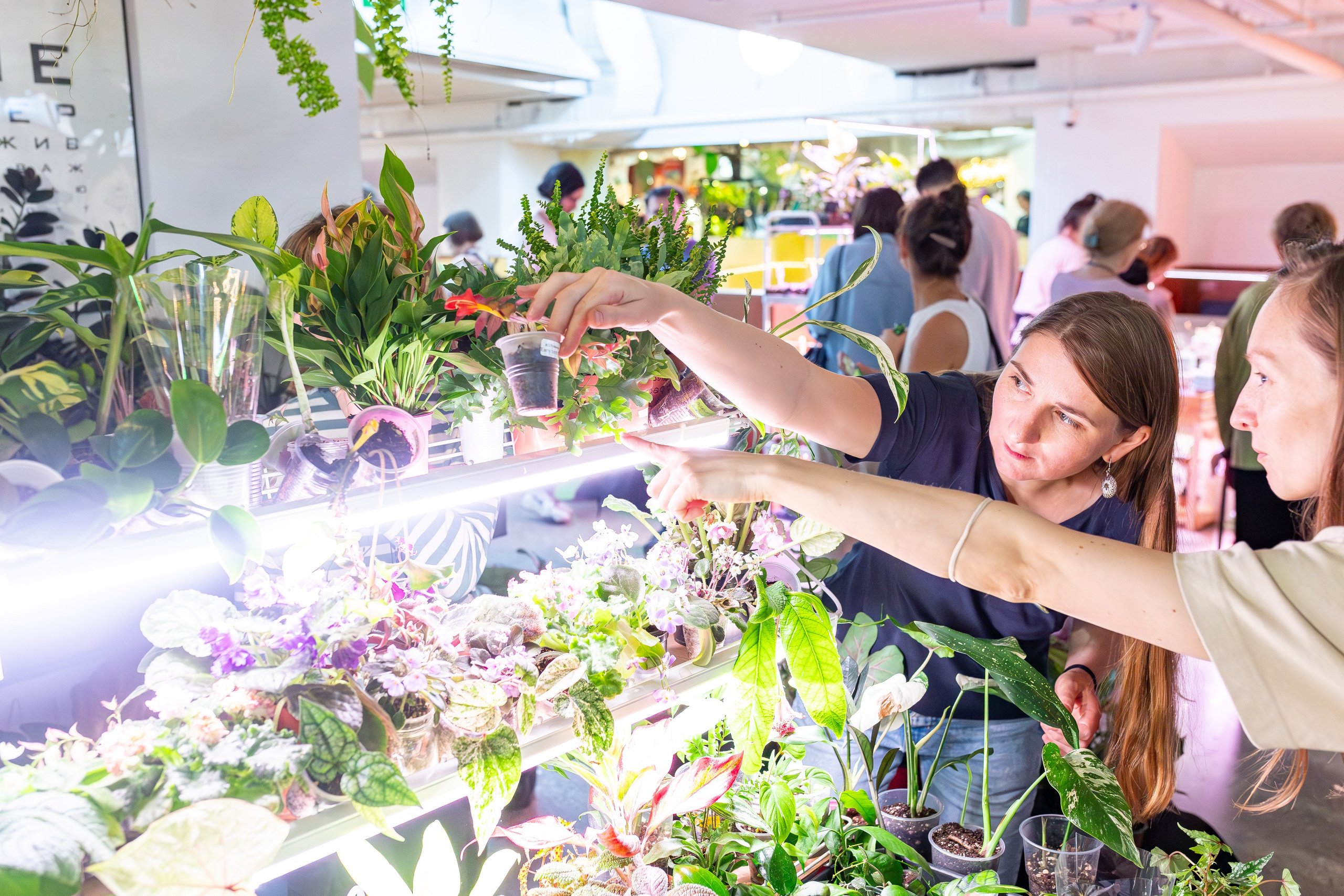 Growbox 5лет. Александра Куликова фотограф, Москва