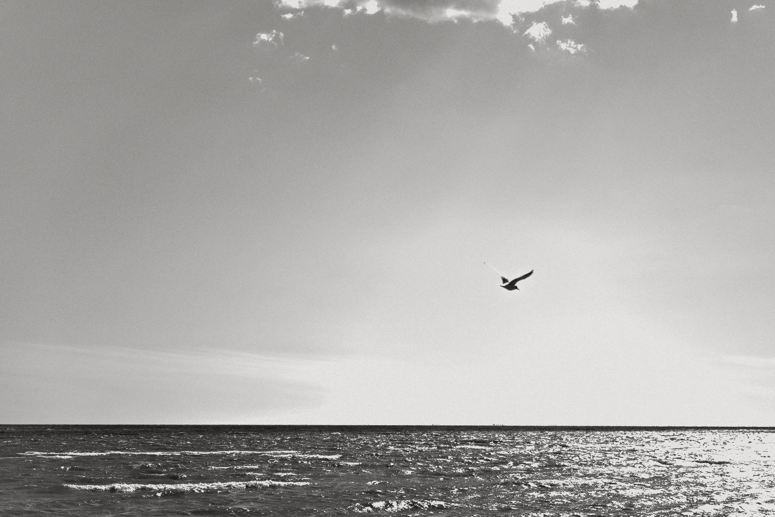 Ветреный Финский. Вадим и Валерия. Свадебный фотограф Евгения Черепанова