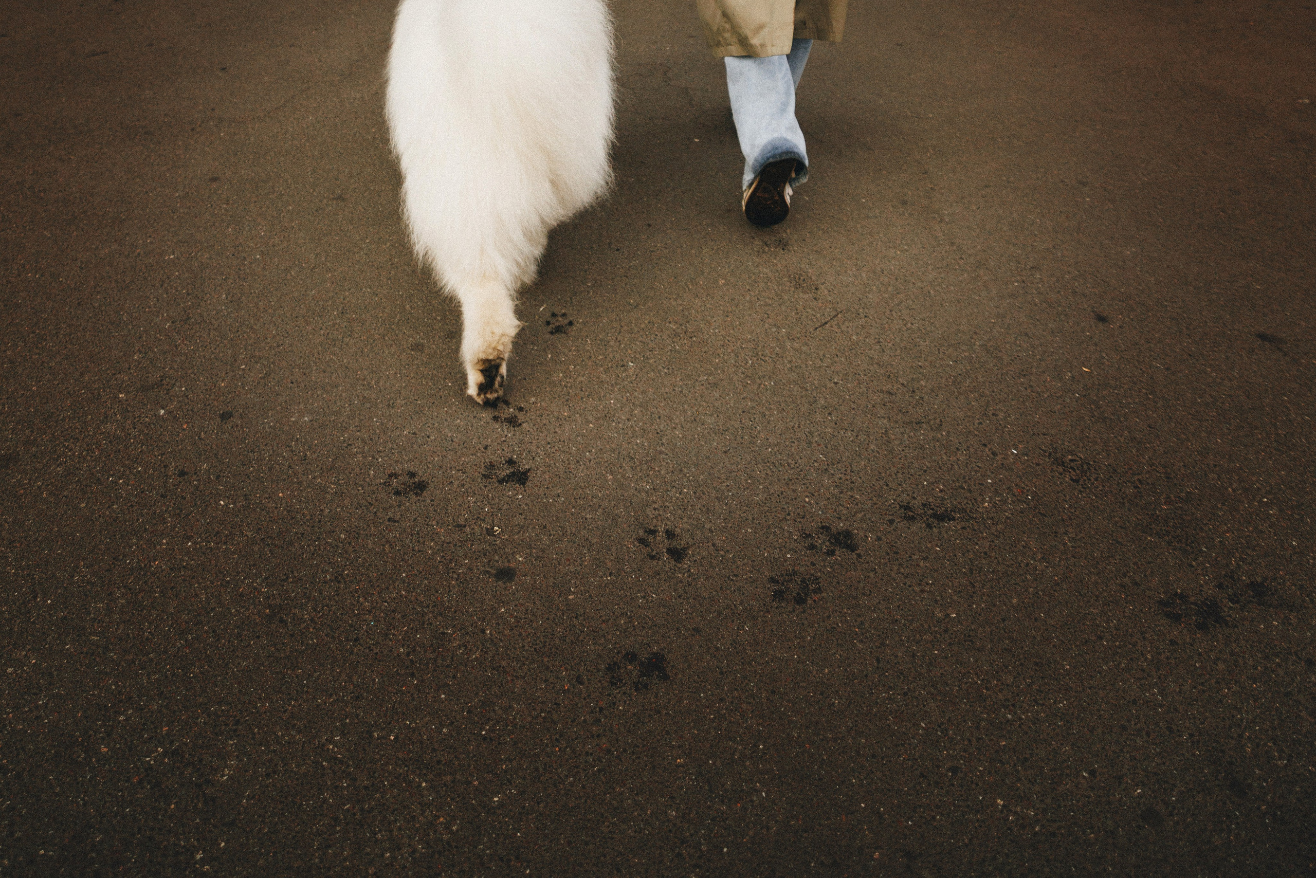 Женя и Цезарь. Фотограф анималист Осипчикова Мария