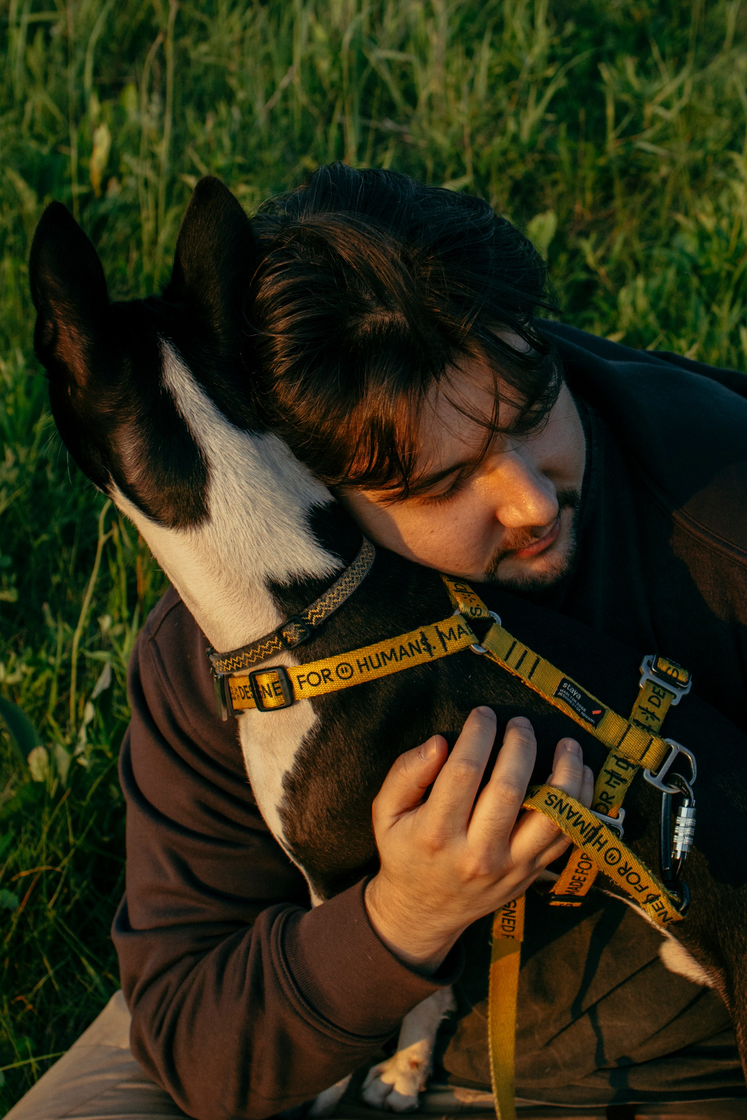 Итачи и его семья 🐾. Фотограф-анималист в Санкт-Петеребурге Титова Алиса
