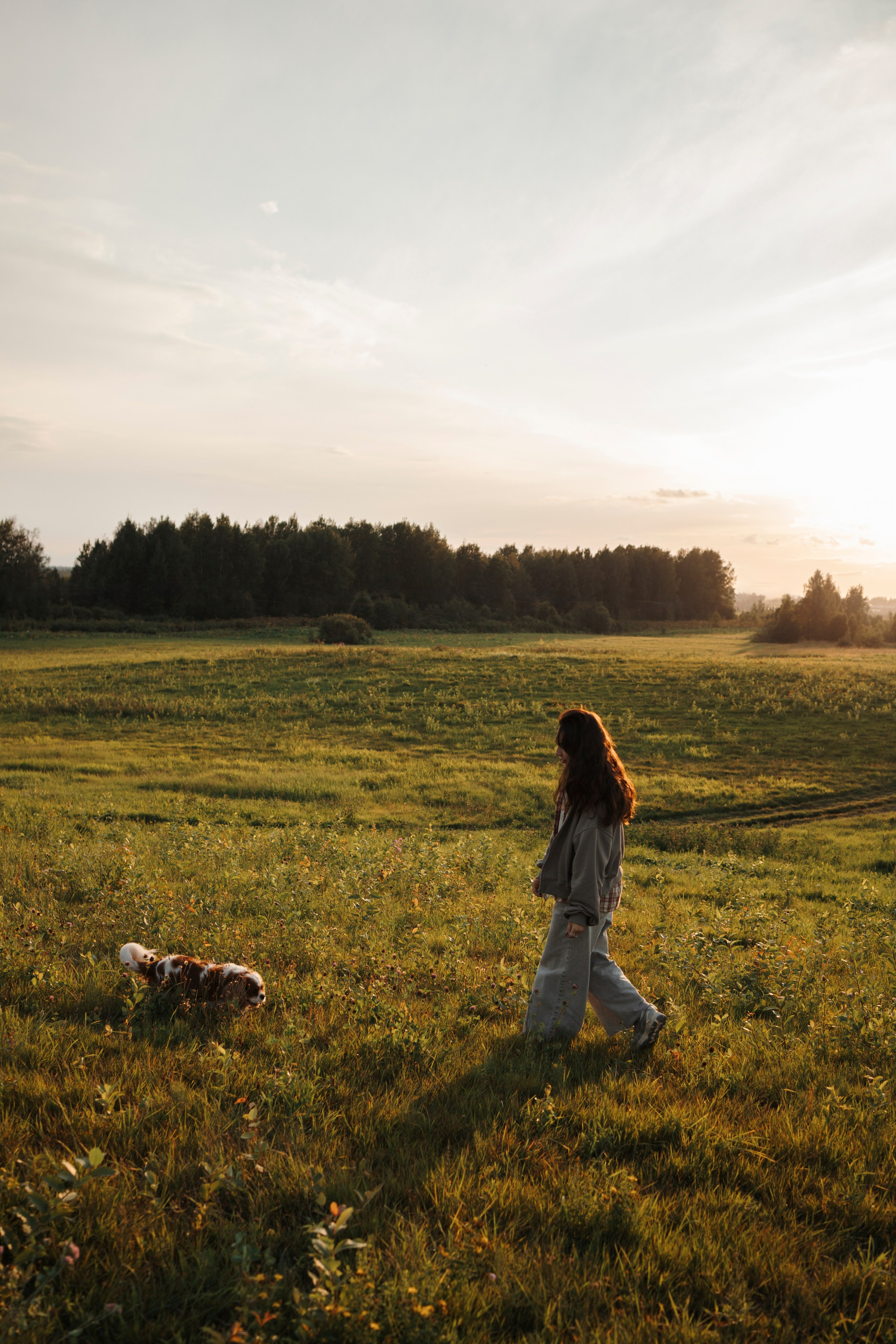 На закате Катерина, Луна и Рикки. Фотограф-анималист в Санкт-Петеребурге Титова Алиса