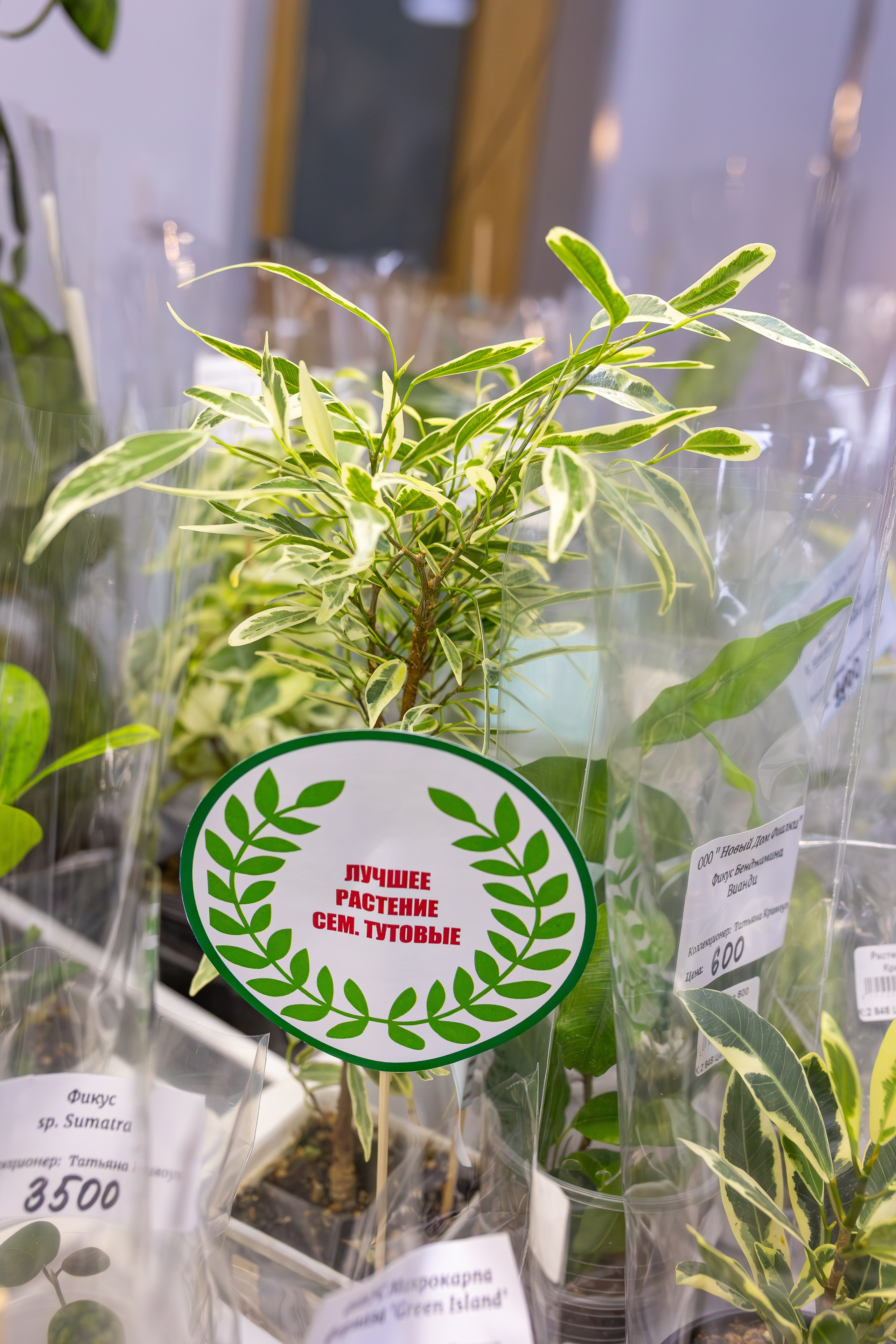 Монстериум апрель 2026. Александра Куликова фотограф, Москва