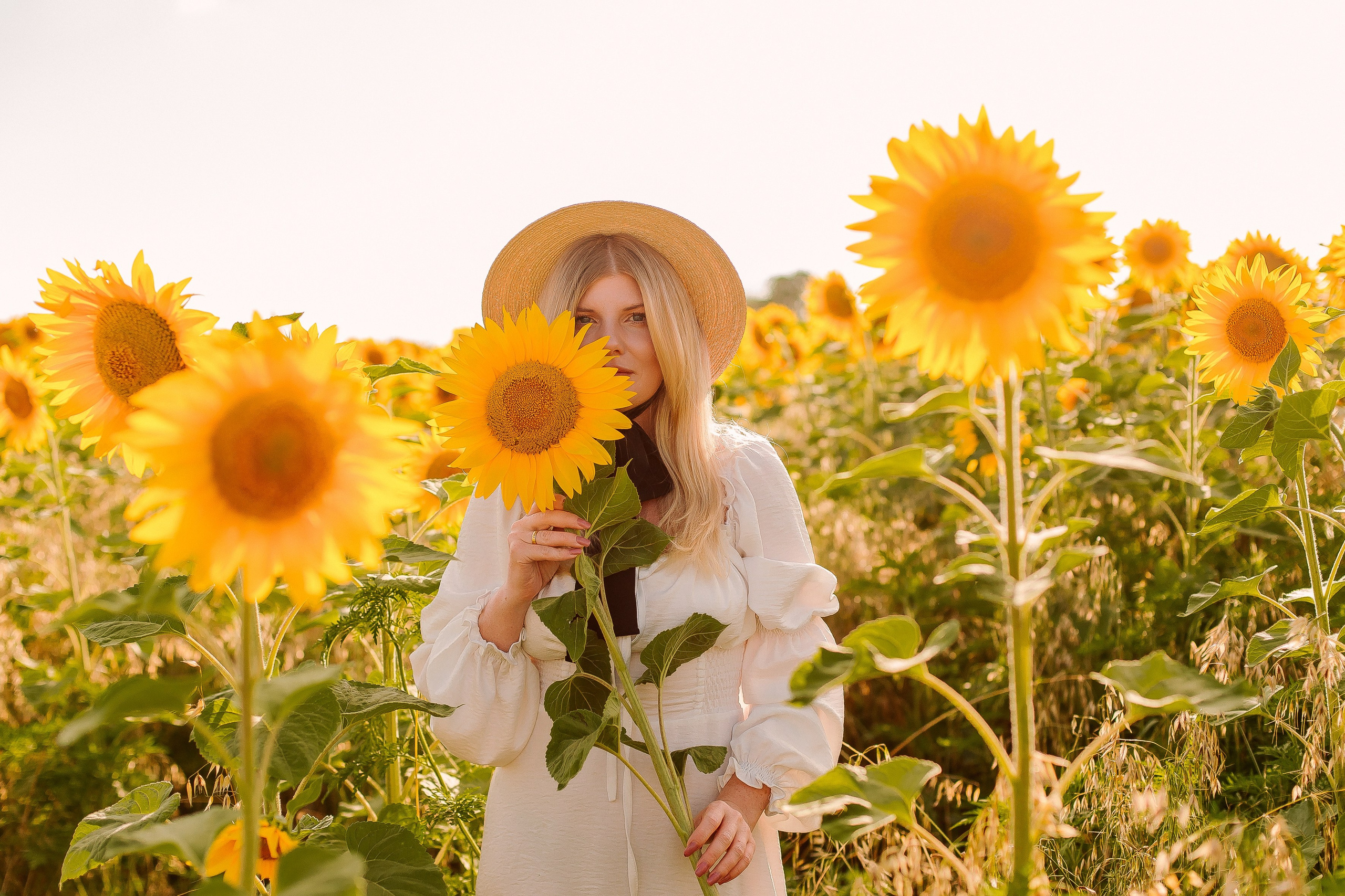 Подсолнухи. Выпускные альбомы Натальи Бутко: Новороссийск, Анапа, Геленджик